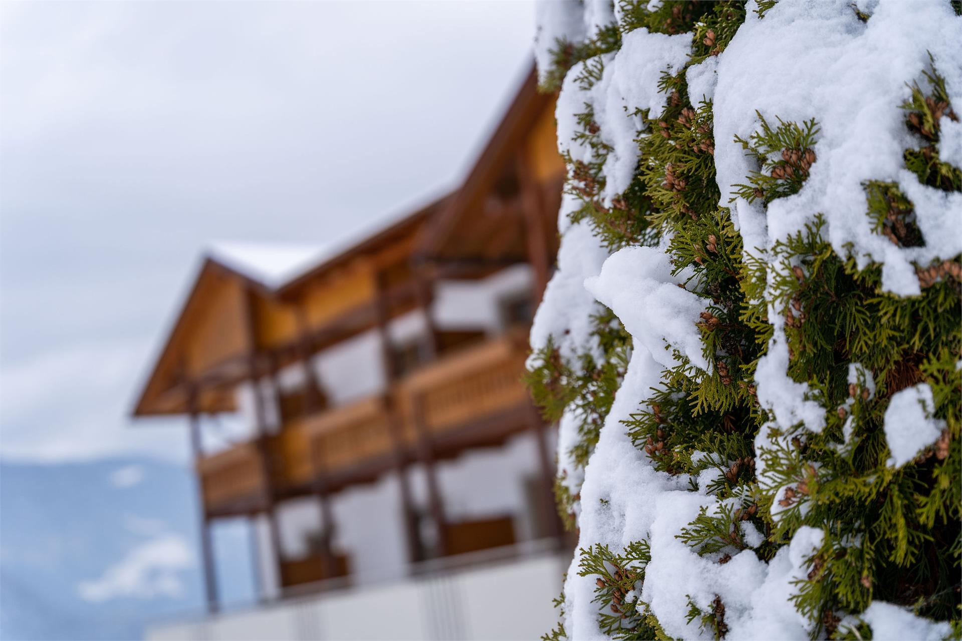 Hotel Lindnerhof St.Lorenzen/San Lorenzo di Sebato 5 suedtirol.info
