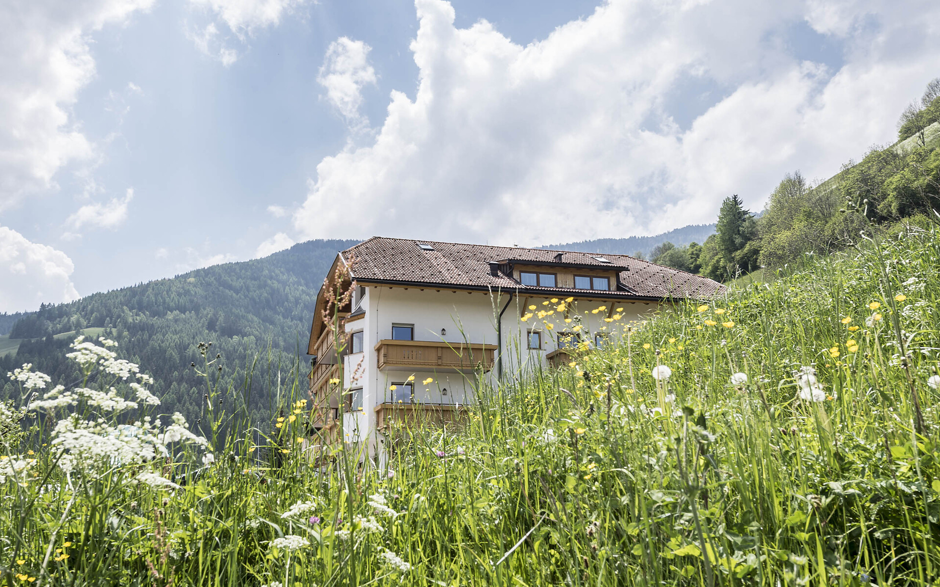 Hotel Onach