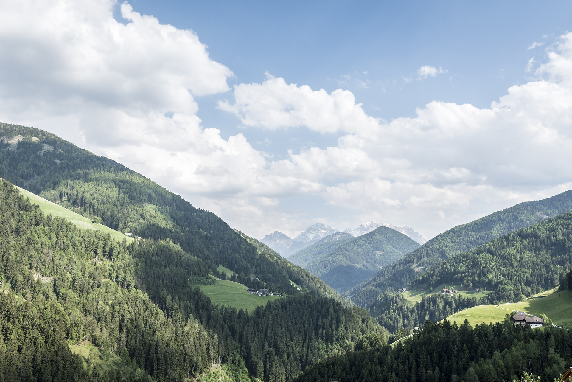 Panorama
