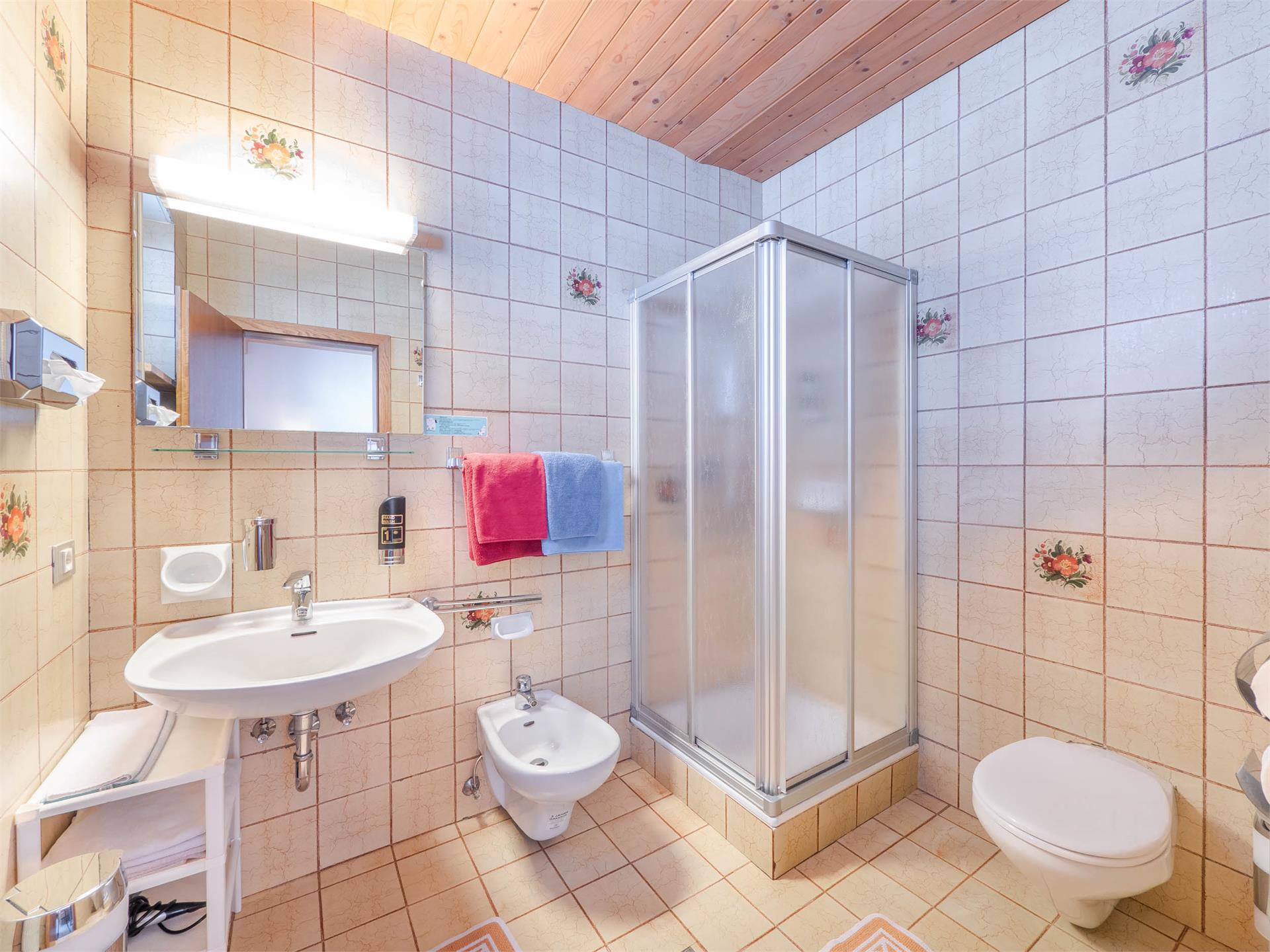 Hotel Pontives Lajen/Laion 14 suedtirol.info