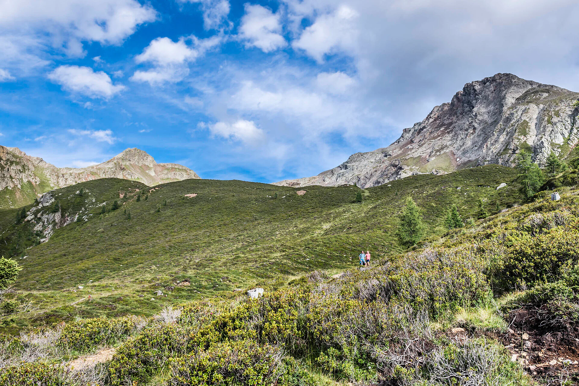 Hintereggalm - rifugio Scena 3 suedtirol.info