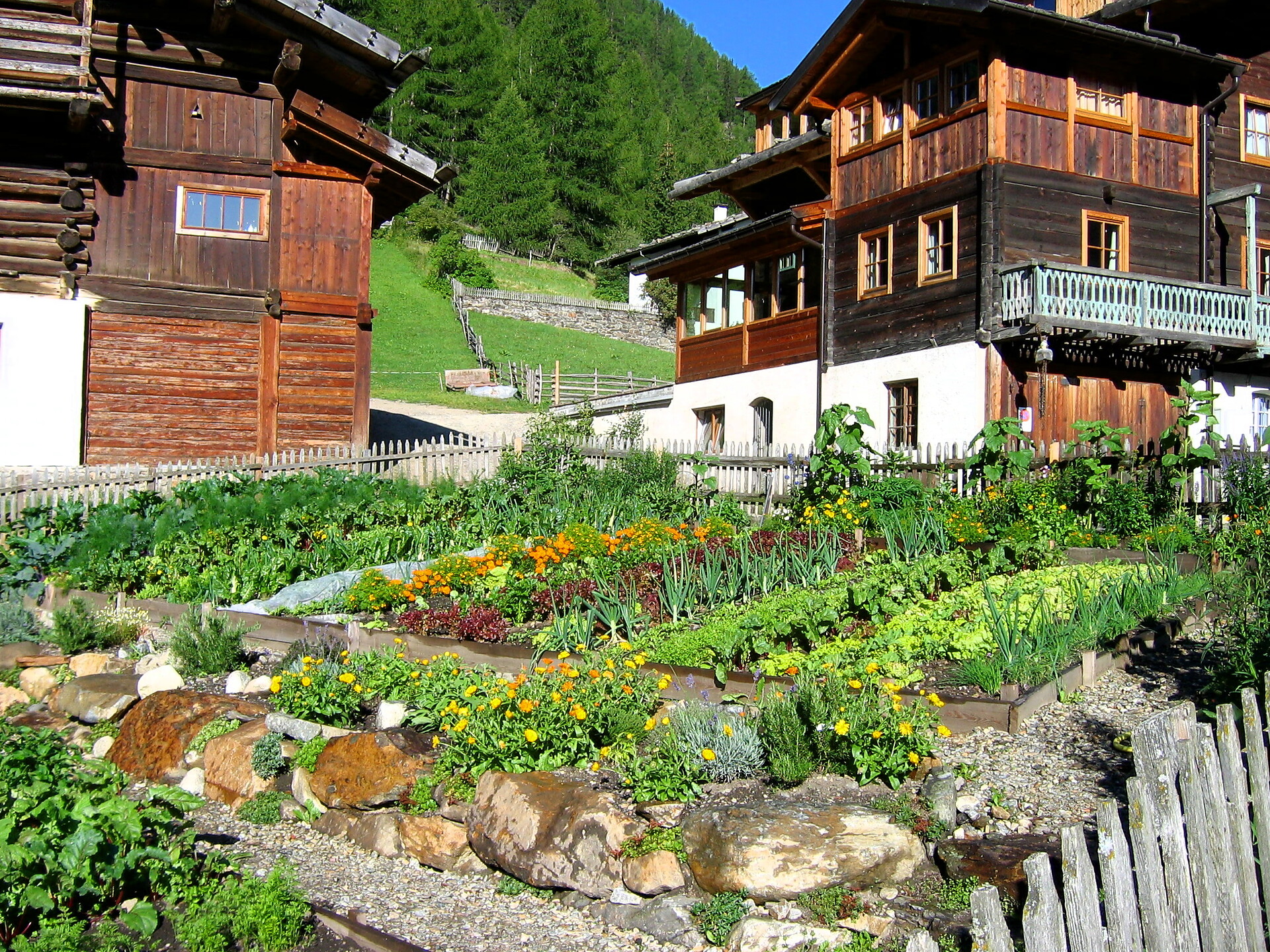 kichen garden