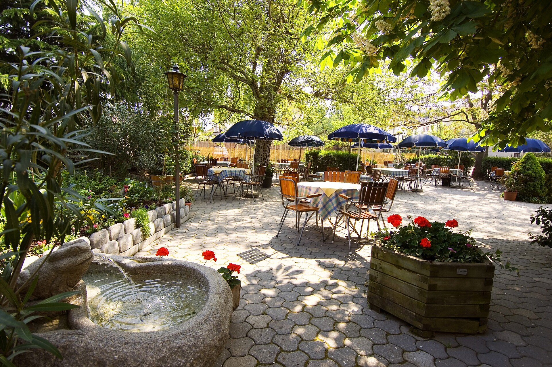 Garden