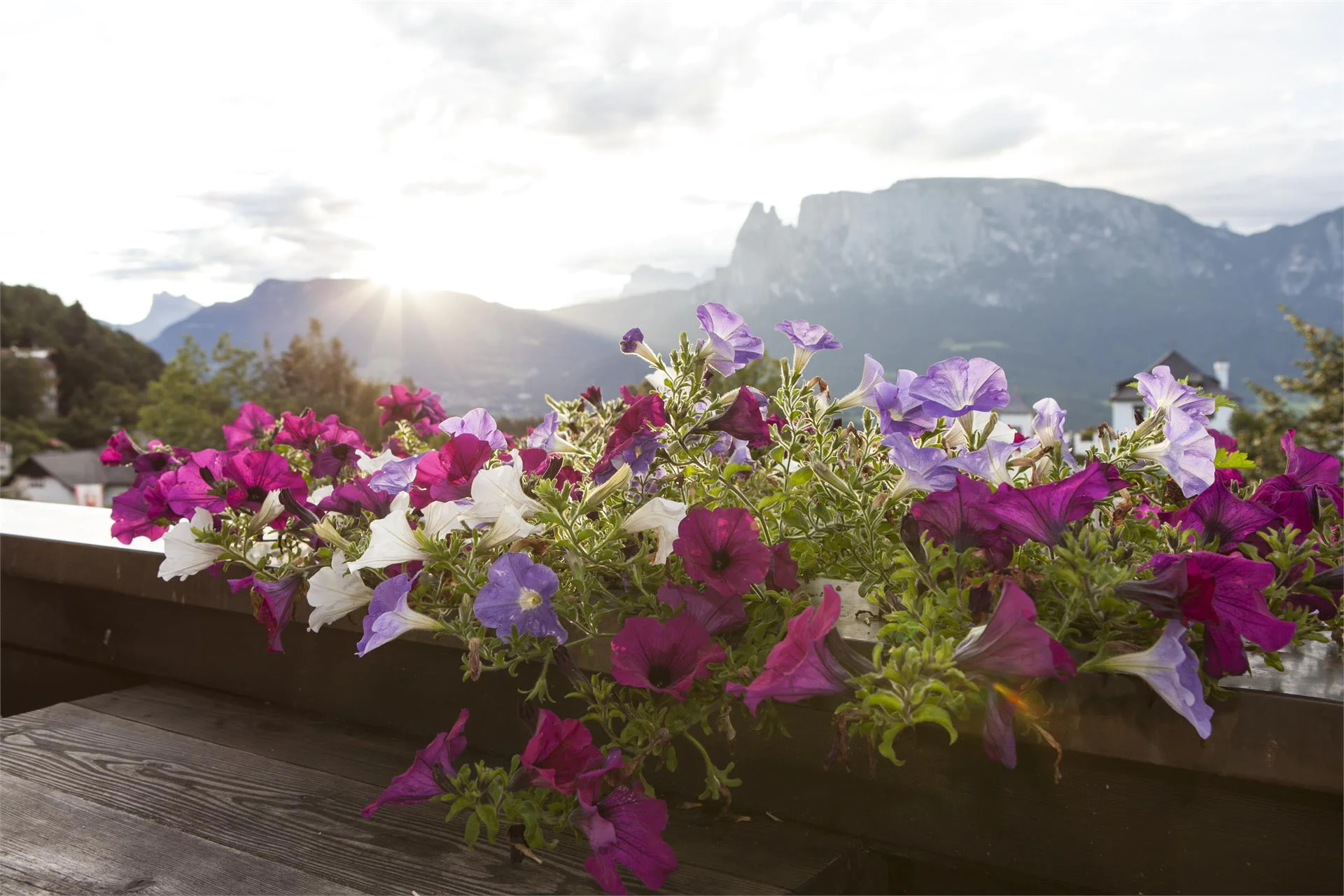 Hotel Bemelmans - Posta Renon 10 suedtirol.info