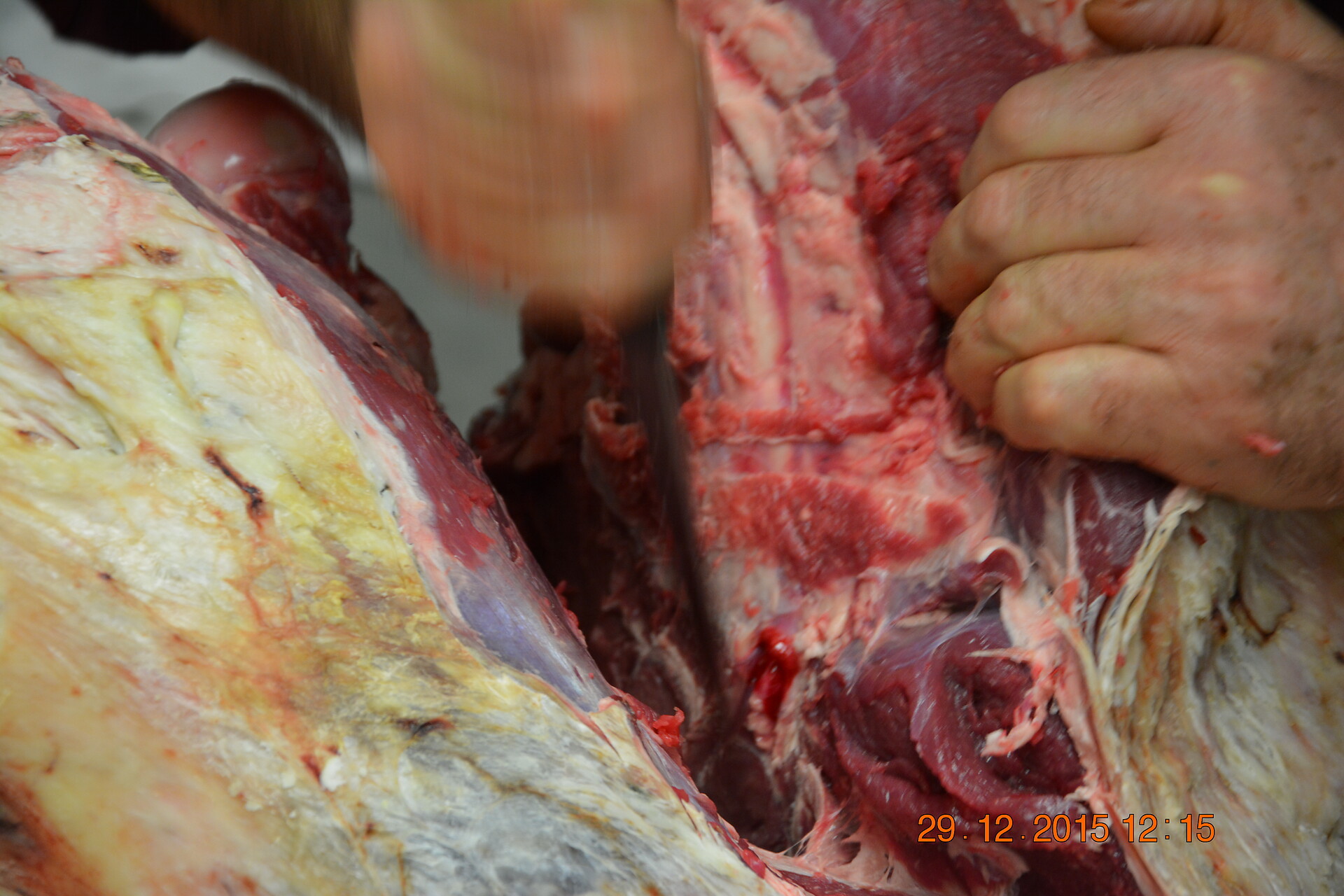 Meat from the  Außerlanzin farm