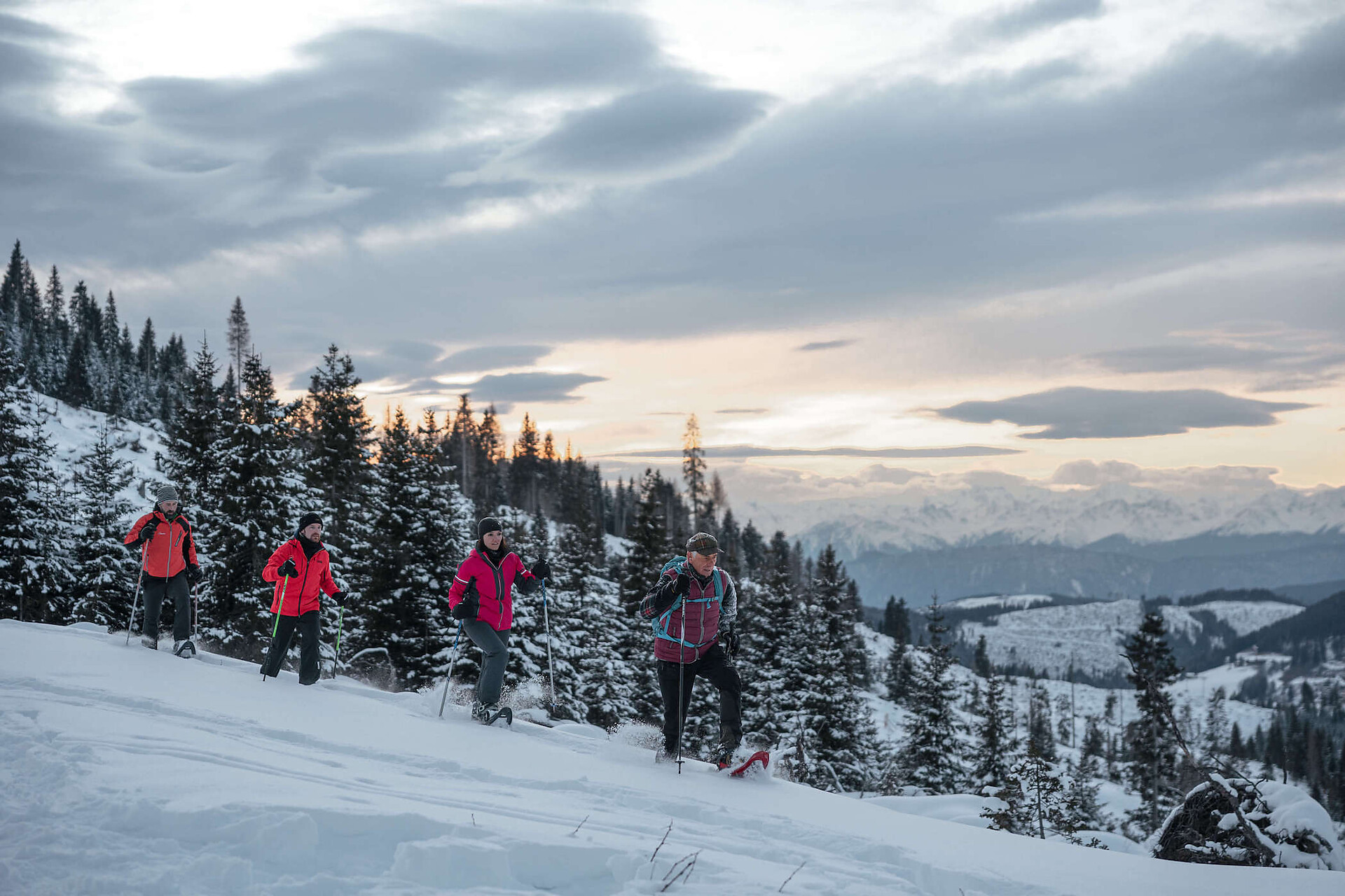 Winter Activities