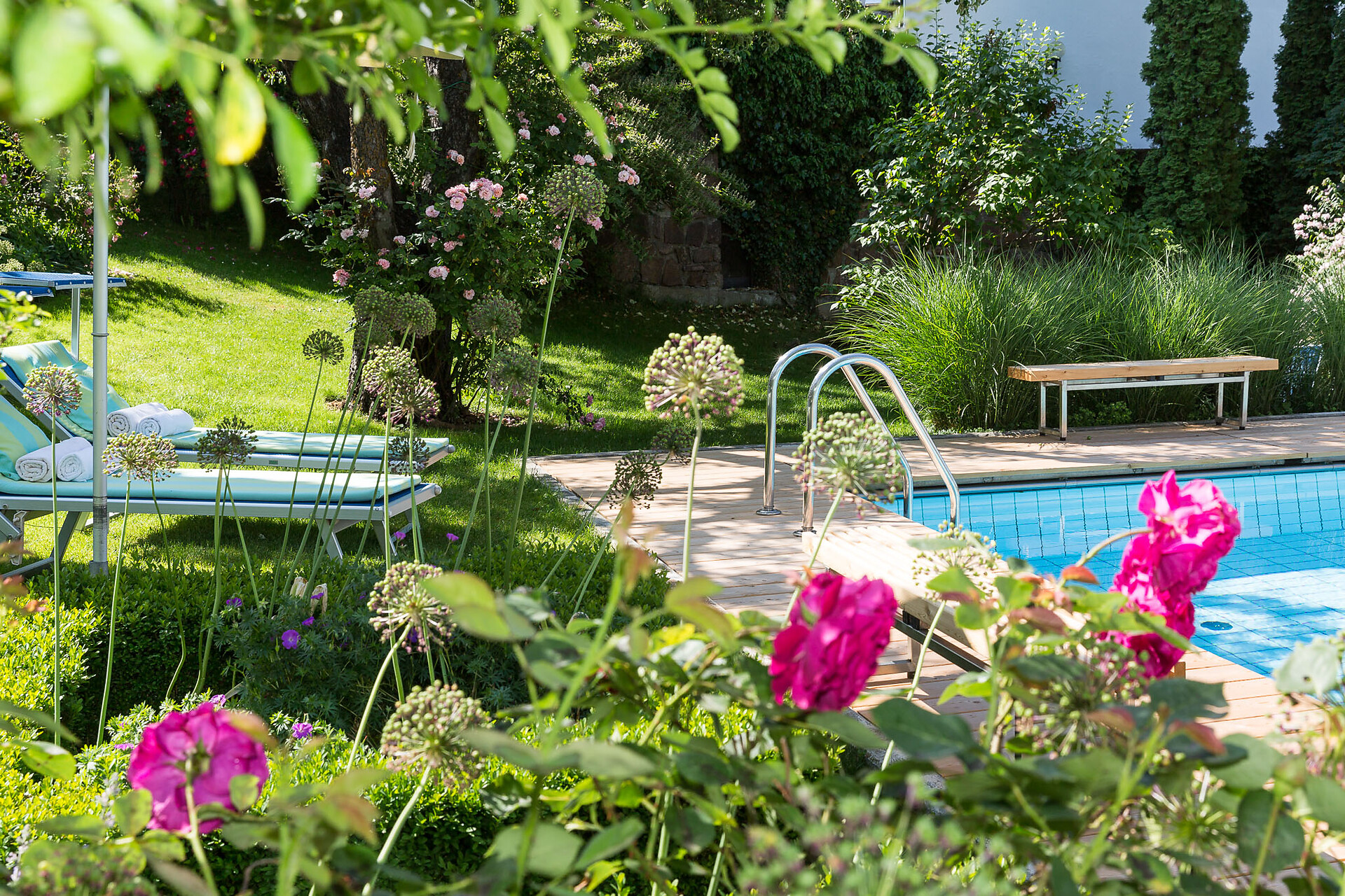 Giardino