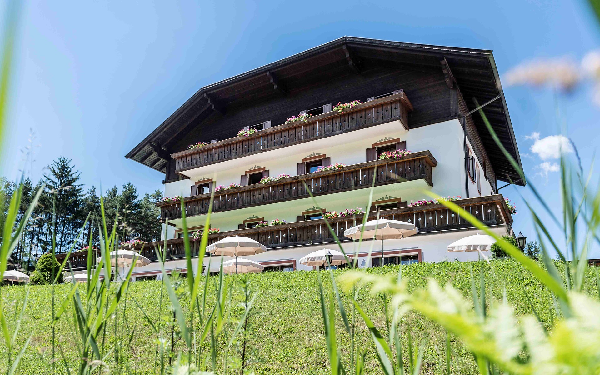 Hotel Waldsee - Regione dolomitica Alpe di Siusi - #22 - suedtirol.info