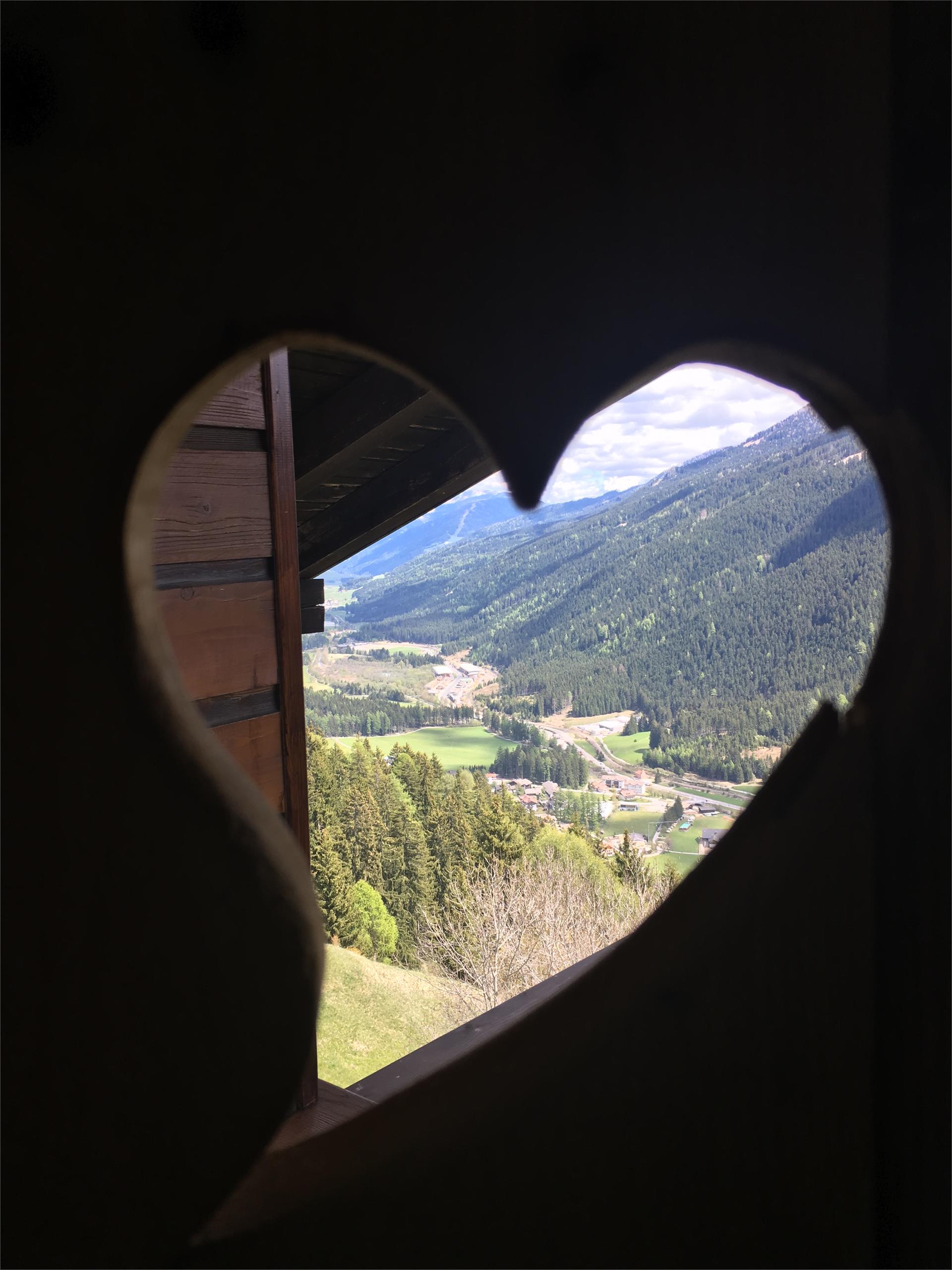 Hotel Almhof Innichen 13 suedtirol.info