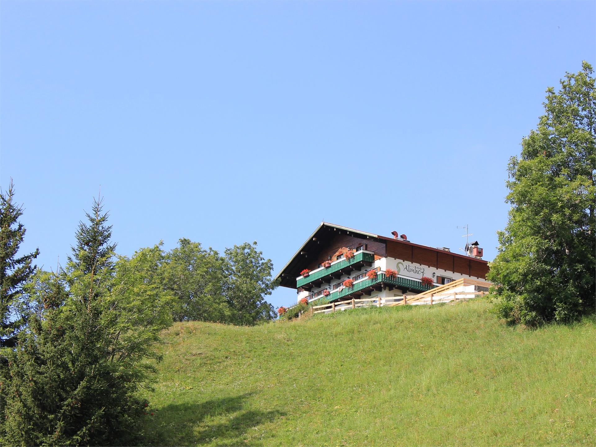 Hotel Almhof Innichen 1 suedtirol.info