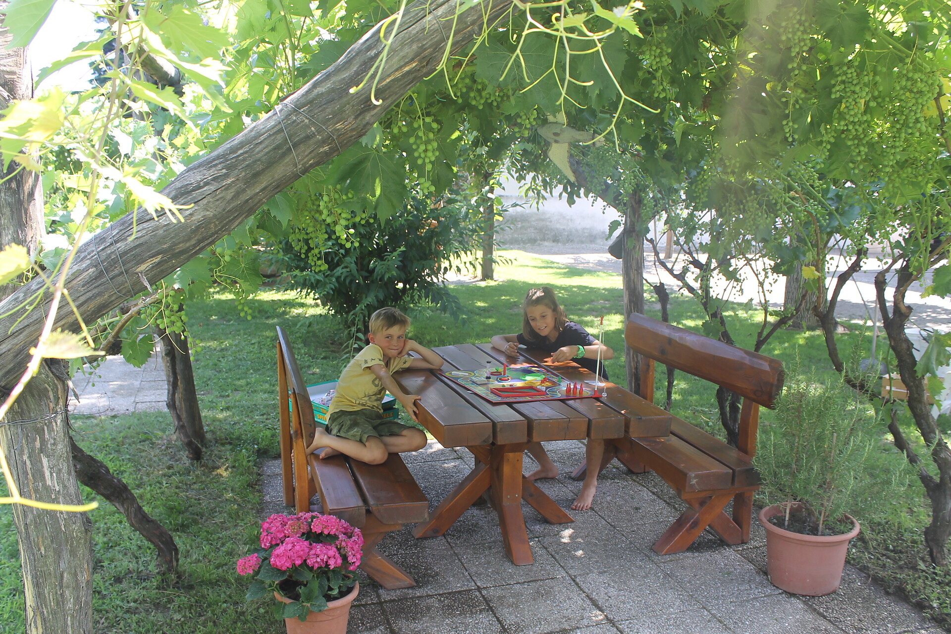 Tavolo da giardino sotto il pergolato di uva