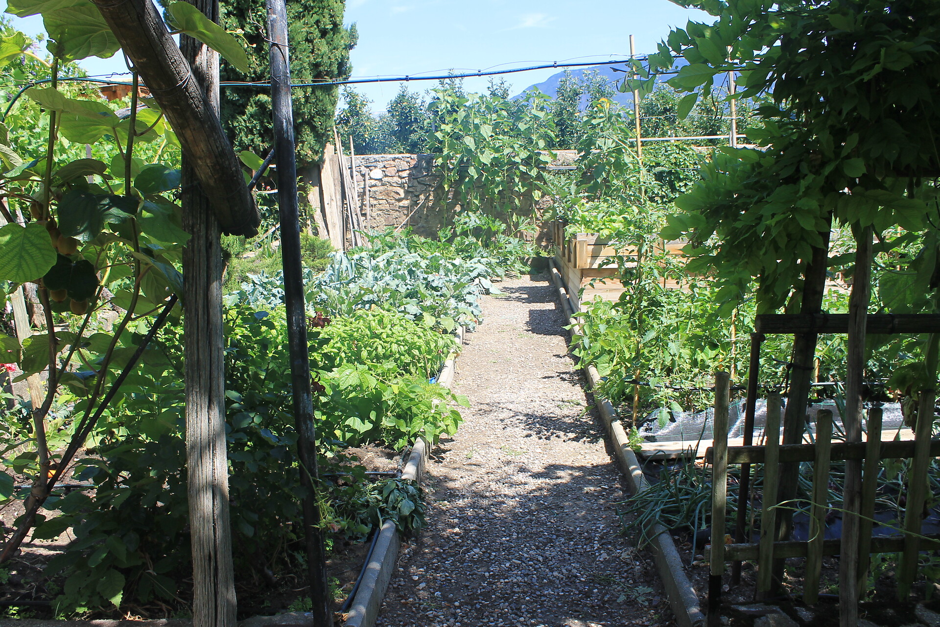 Il nostro giardino