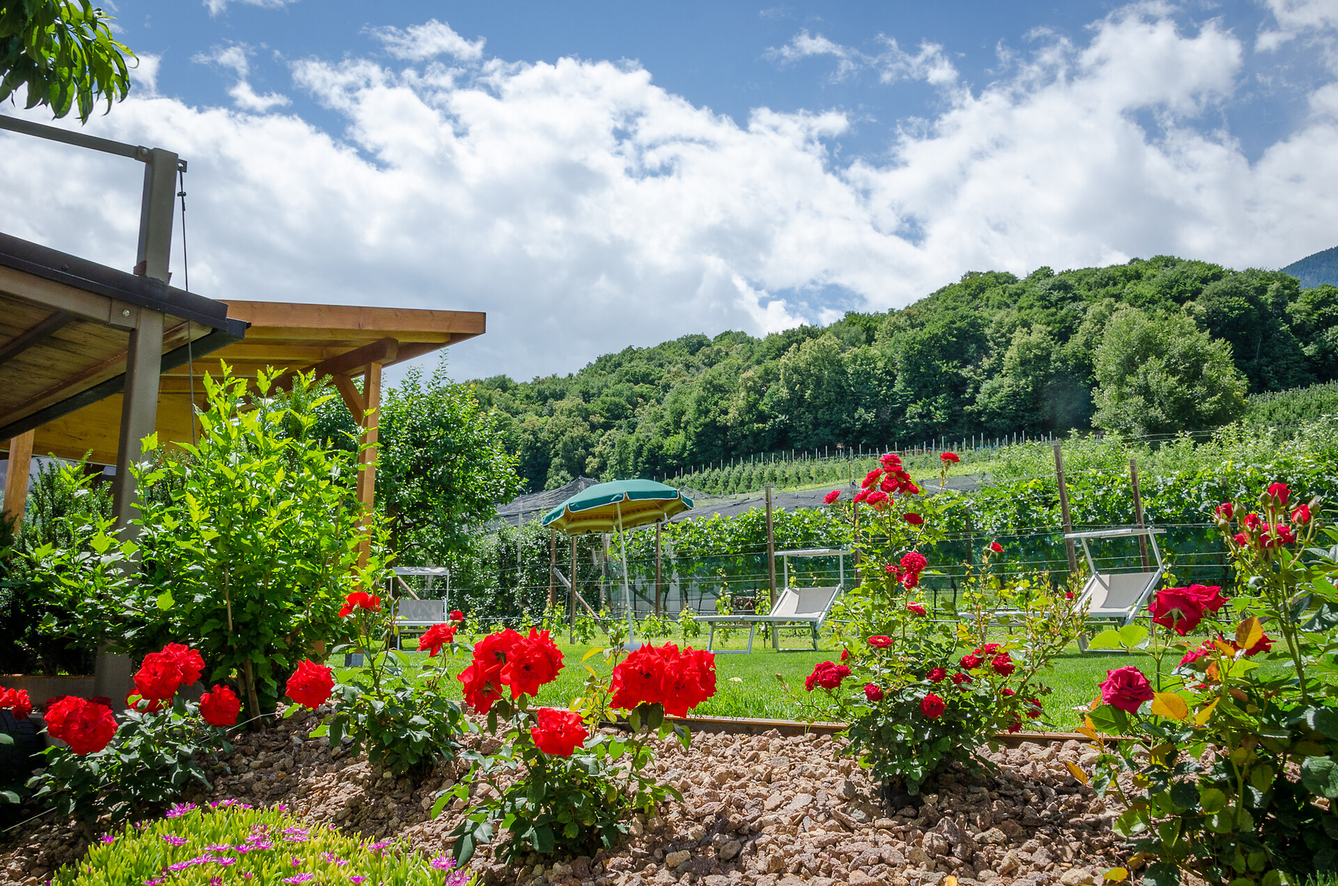 Garten