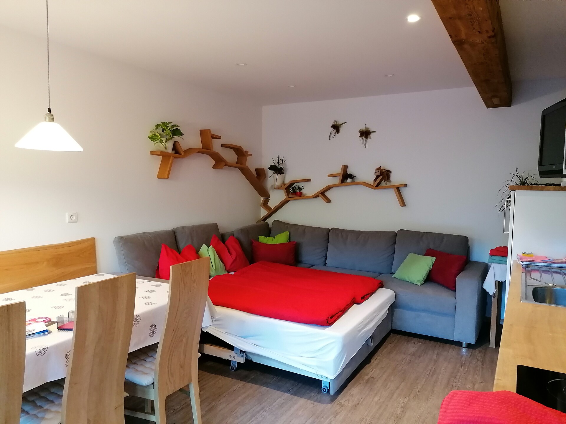 Wohnzimmer mit Schlafsofa