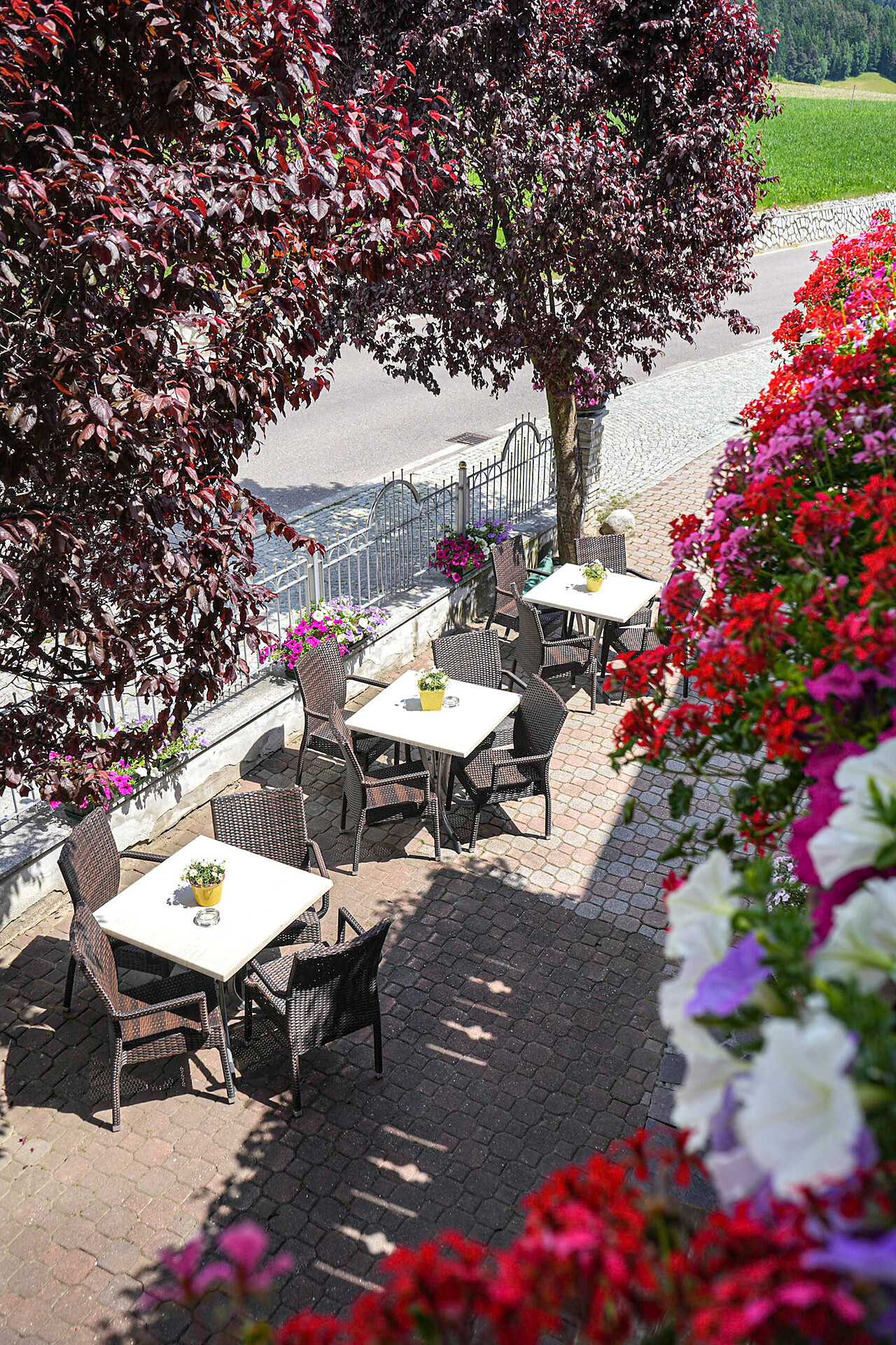 Hotel Rosenheim Rodeneck/Rodengo 9 suedtirol.info