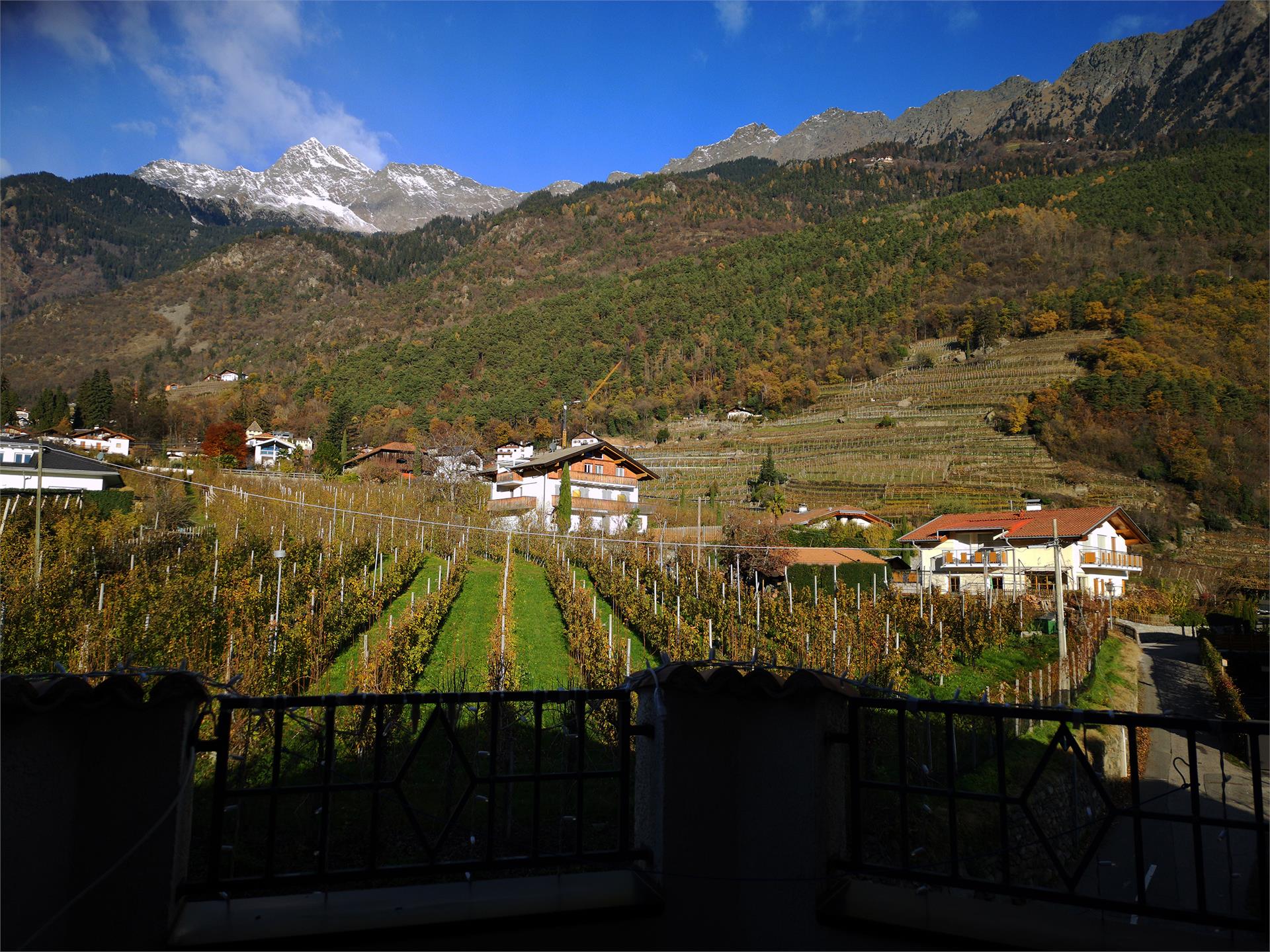 Hotel Ristorante MaVie Lagundo 7 suedtirol.info