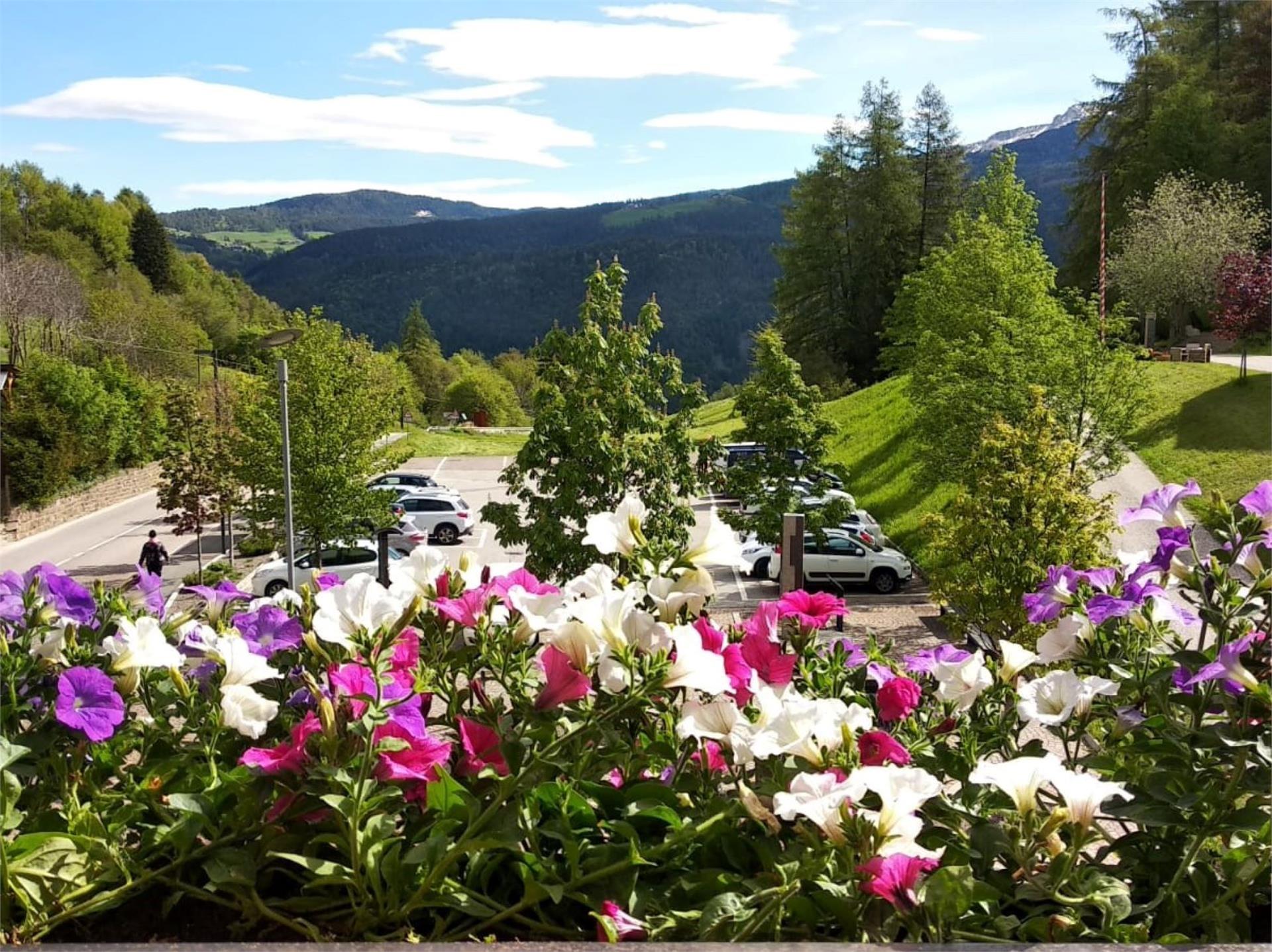 Hotel Schönwies Truden/Trodena 26 suedtirol.info