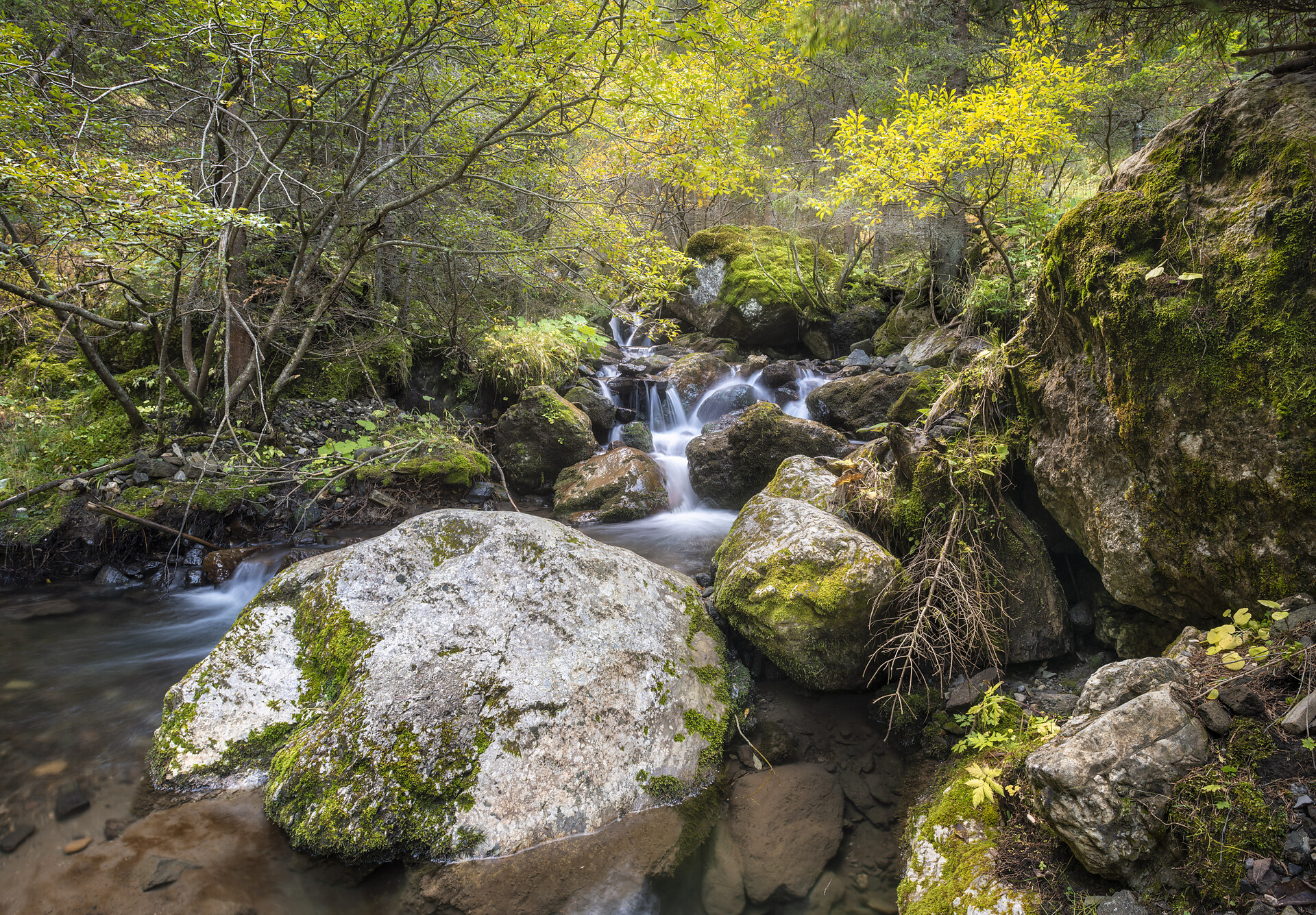 Bulla river