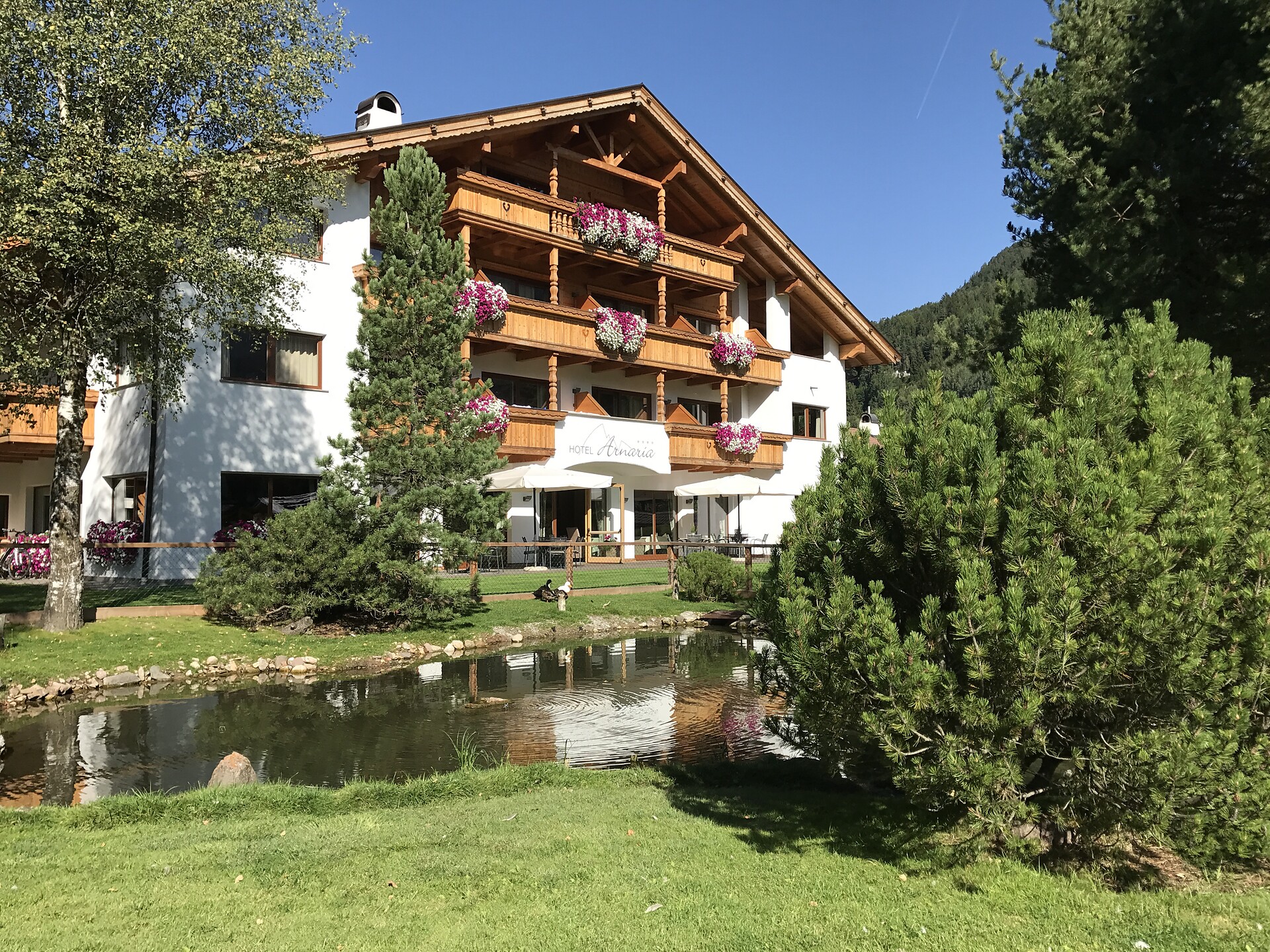 Hotel  Arnaria Summer