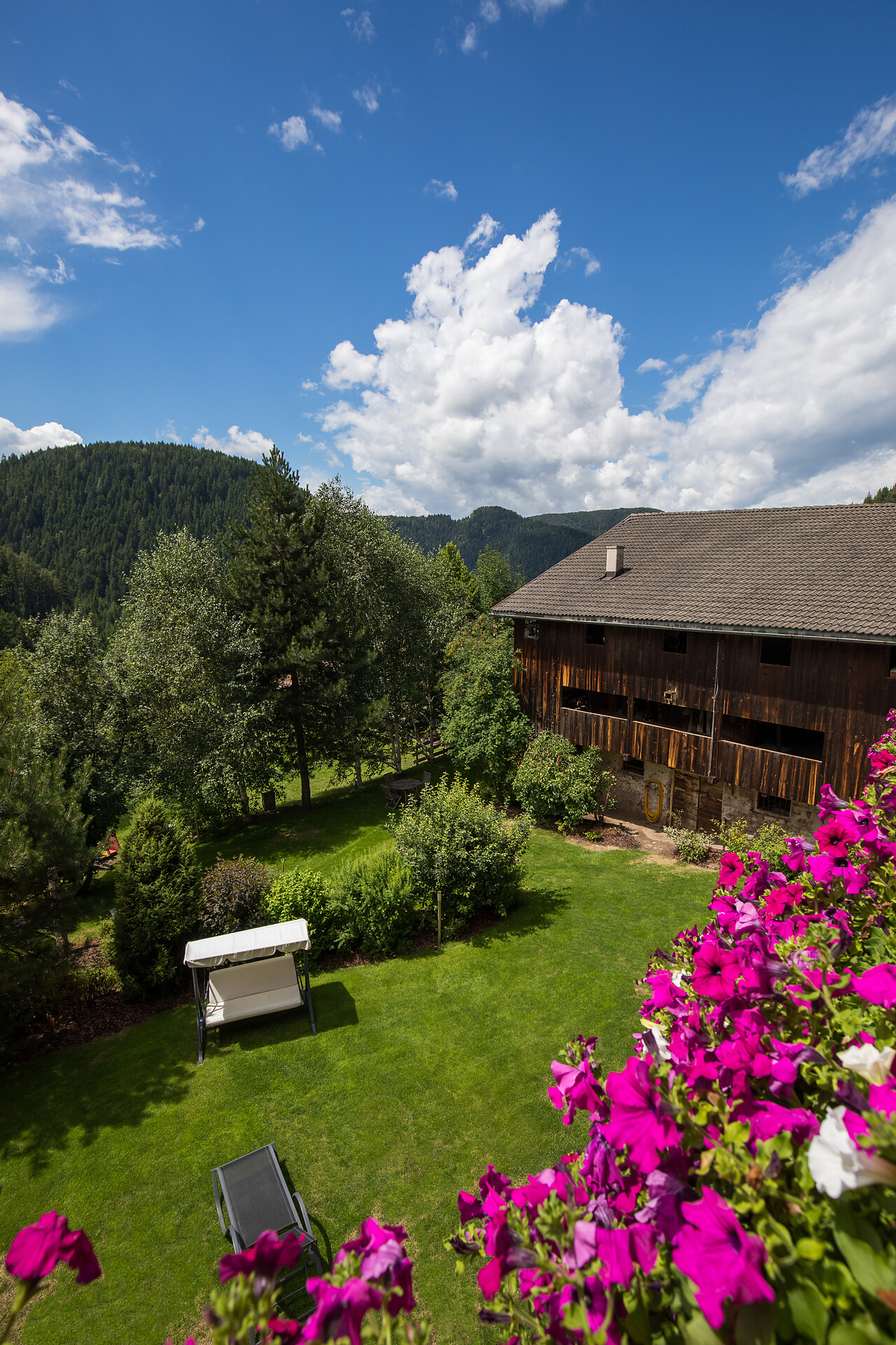Garden 3