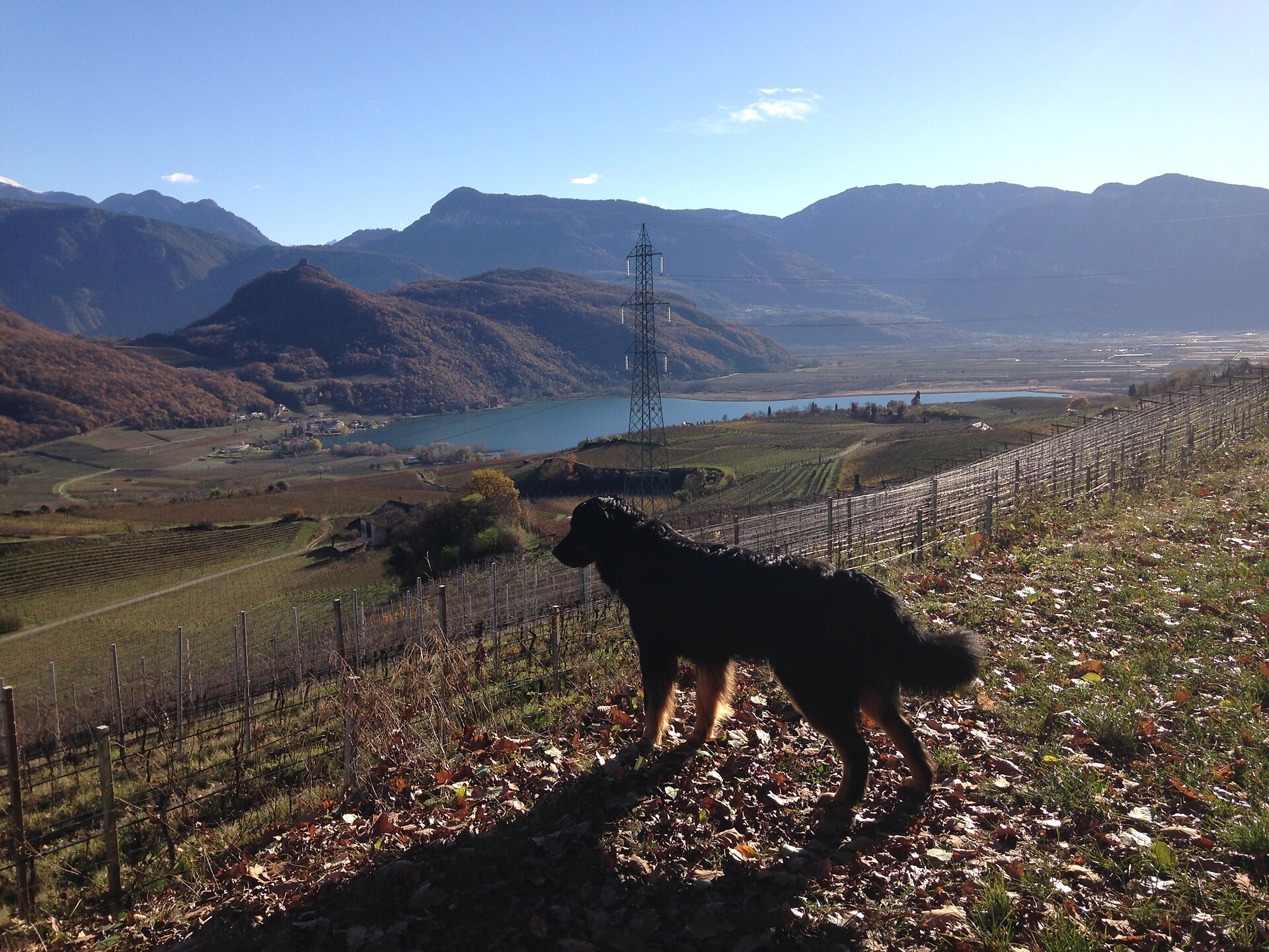 Spaziergang im Dezember 2018