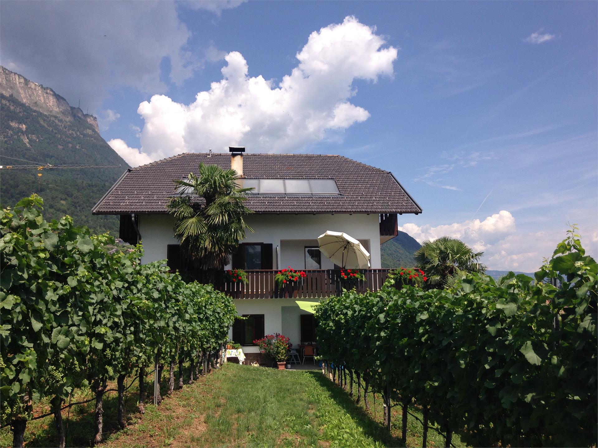 Haus Morandell Erich Kaltern an der Weinstraße 5 suedtirol.info