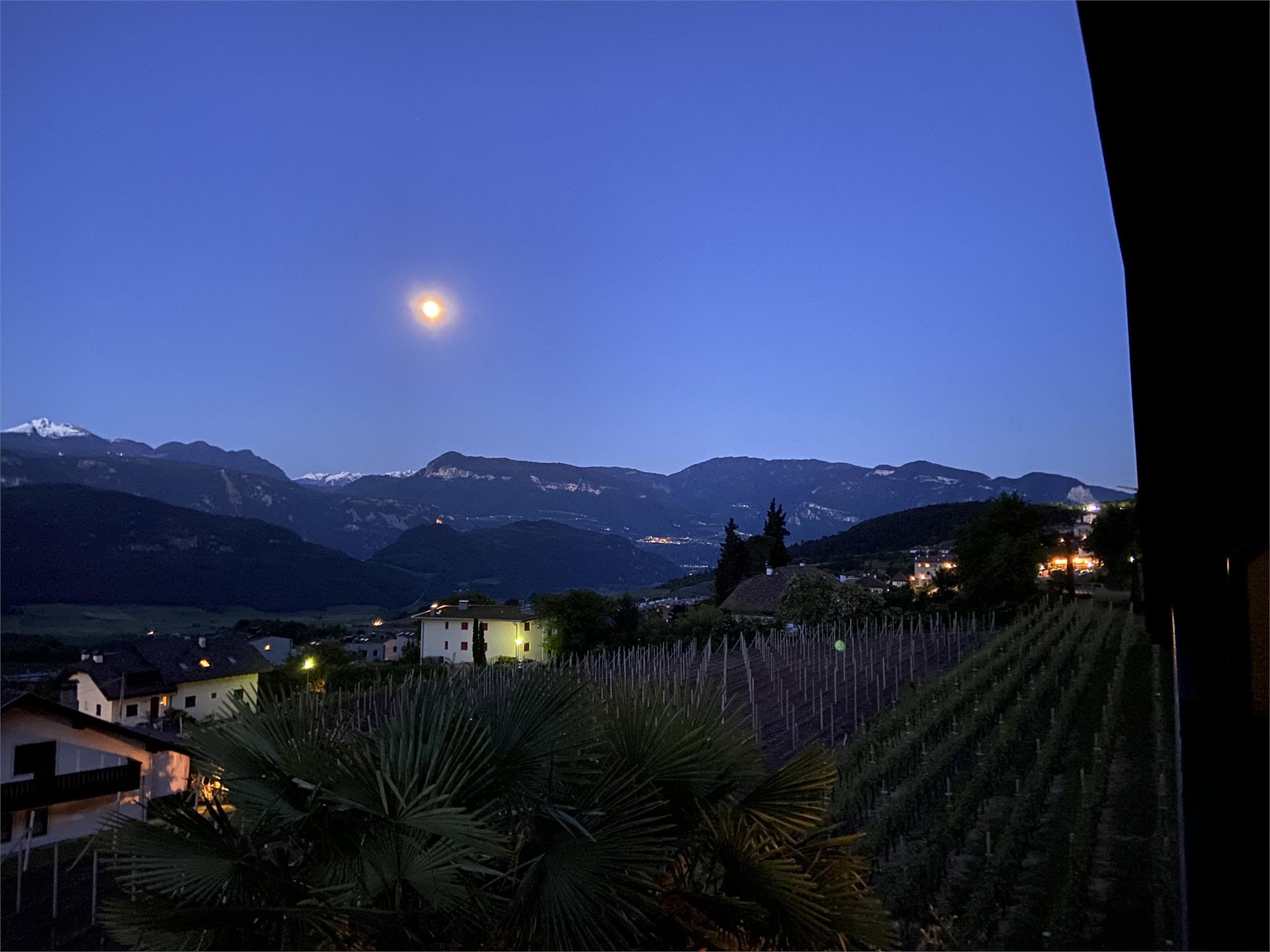 Haus Morandell Erich Kaltern an der Weinstraße 19 suedtirol.info