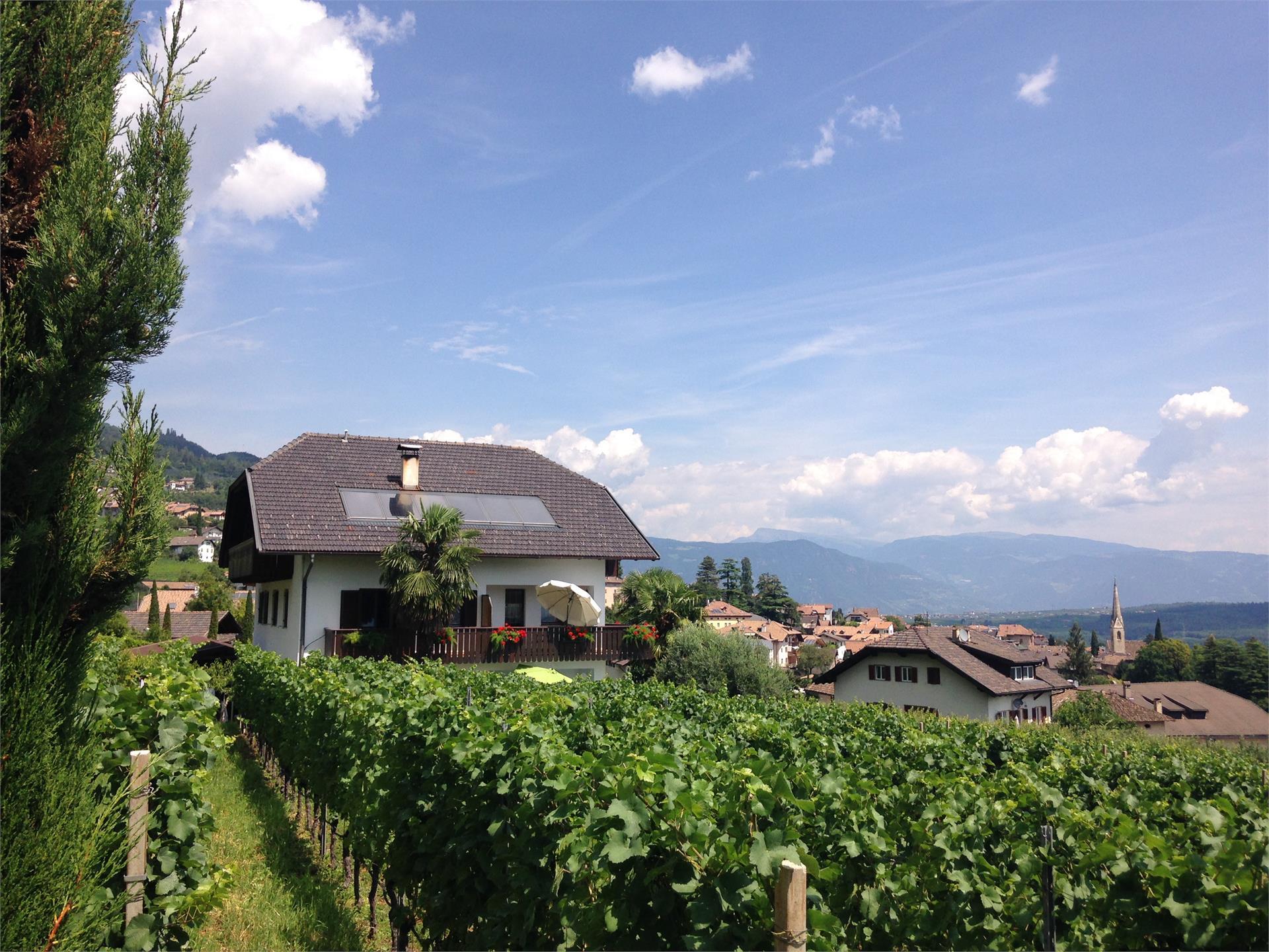 Haus Morandell Erich Kaltern an der Weinstraße 3 suedtirol.info