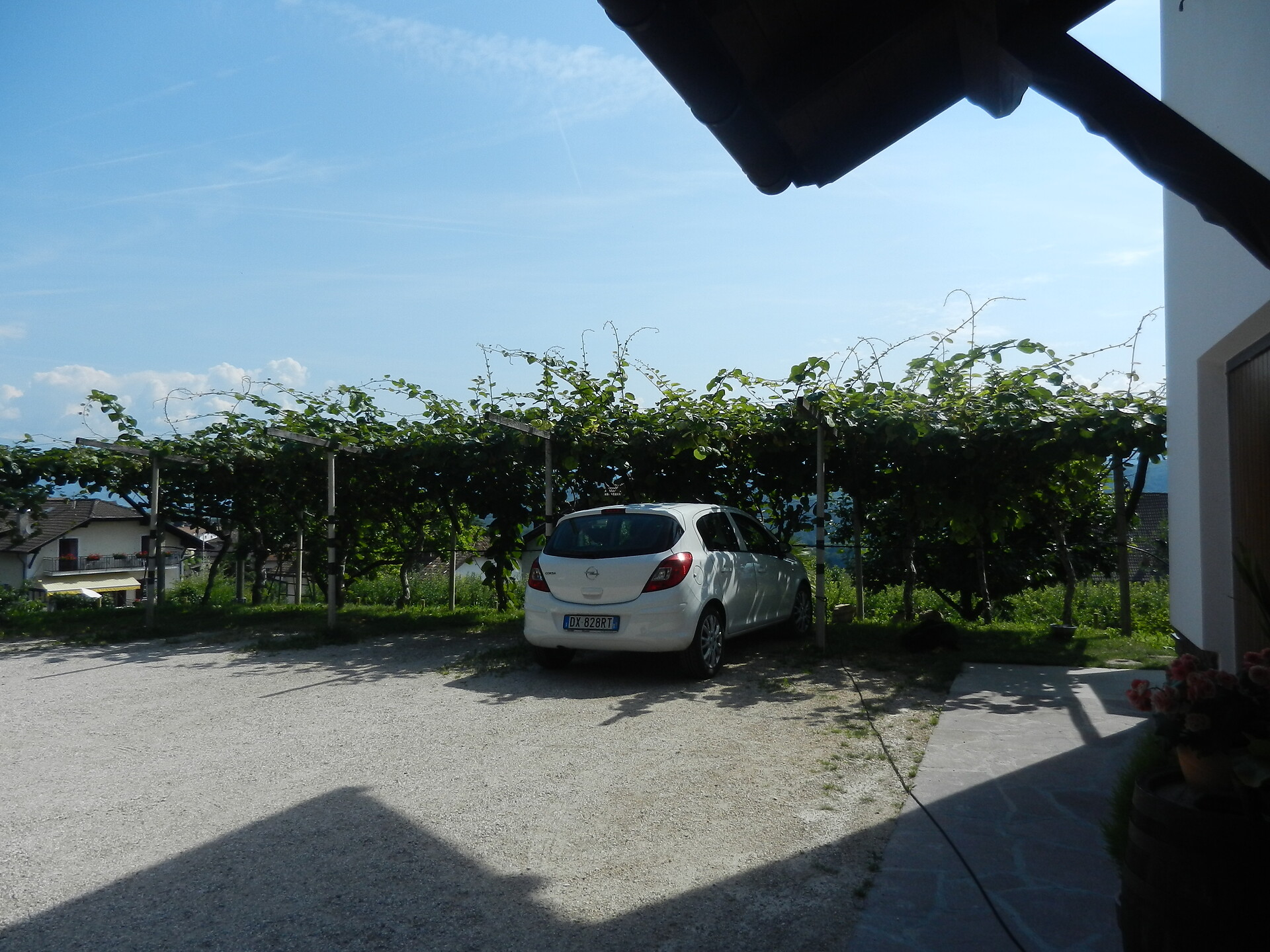 the parking lot