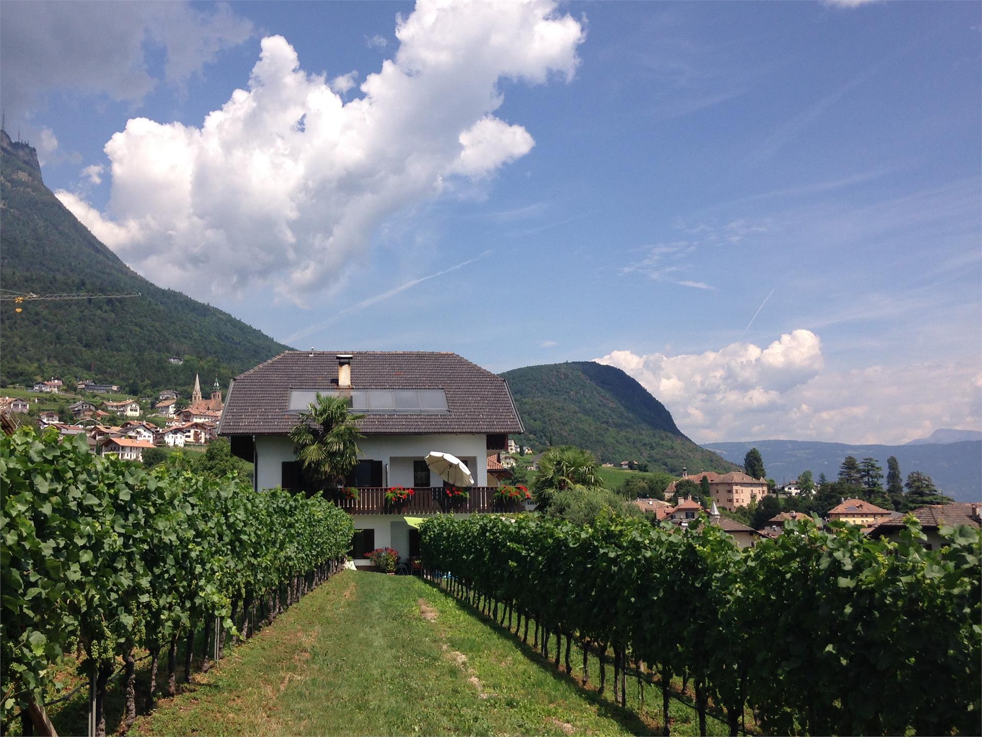 Haus Morandell Erich Kaltern an der Weinstraße 4 suedtirol.info