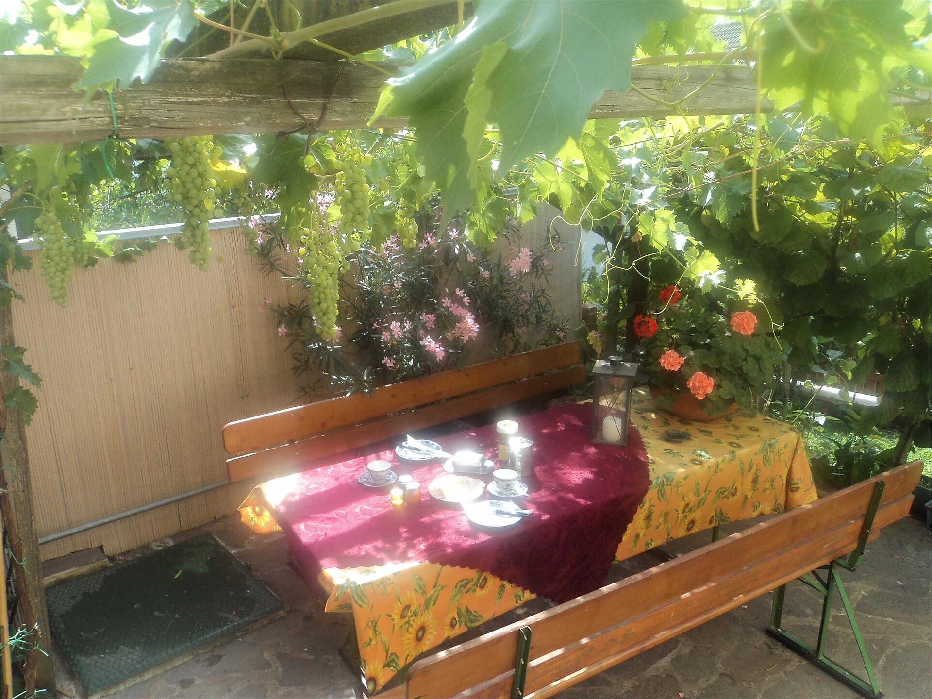 breakfast in the garen