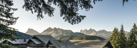 Hotel Forestis Dolomites Bressanone 4 suedtirol.info