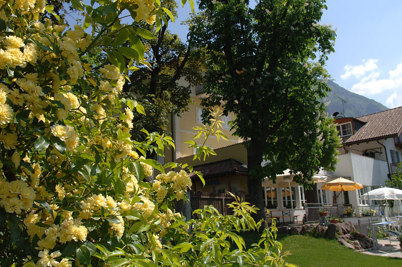 Flower corner