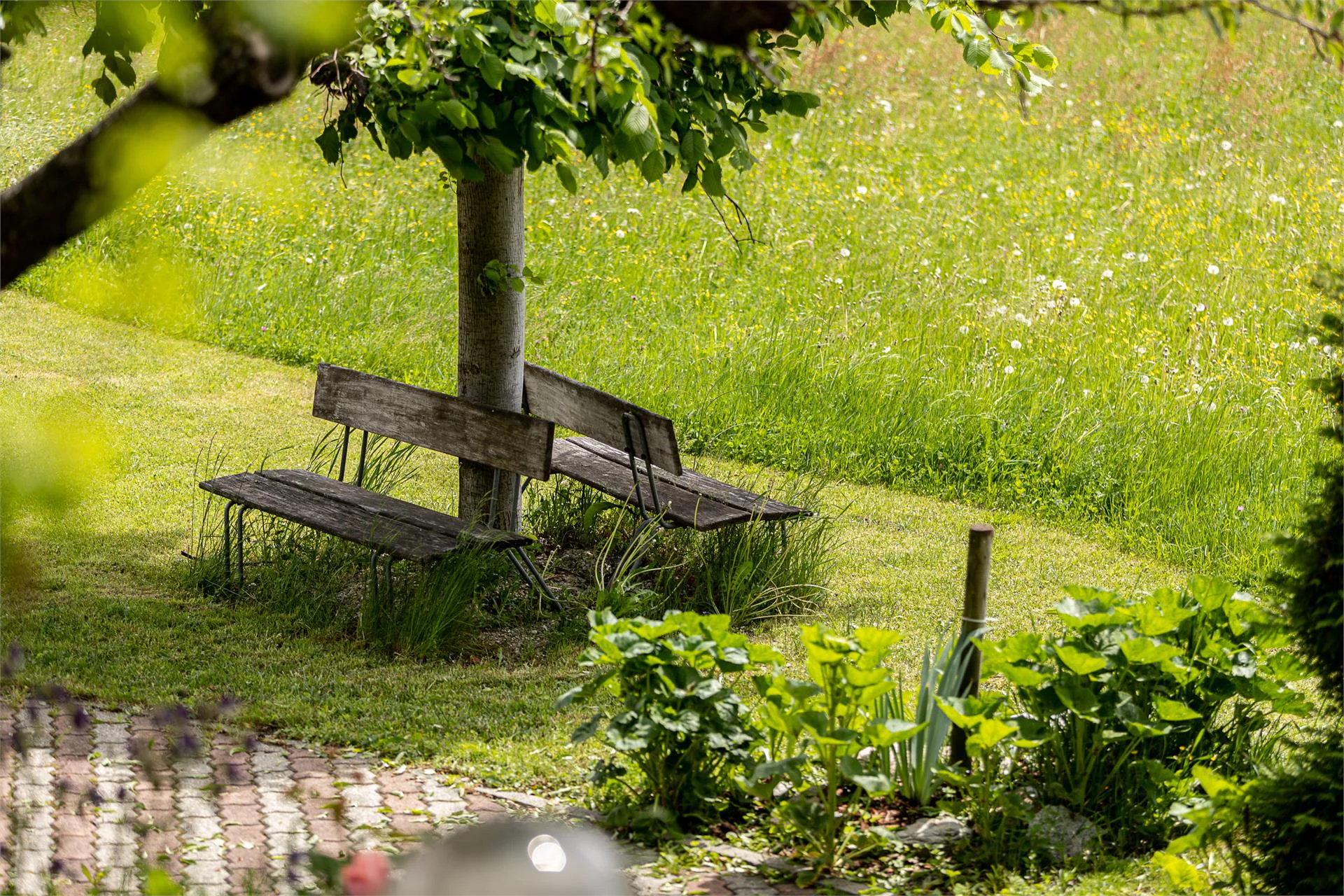 Hotel Klammer Naz-Sciaves 3 suedtirol.info