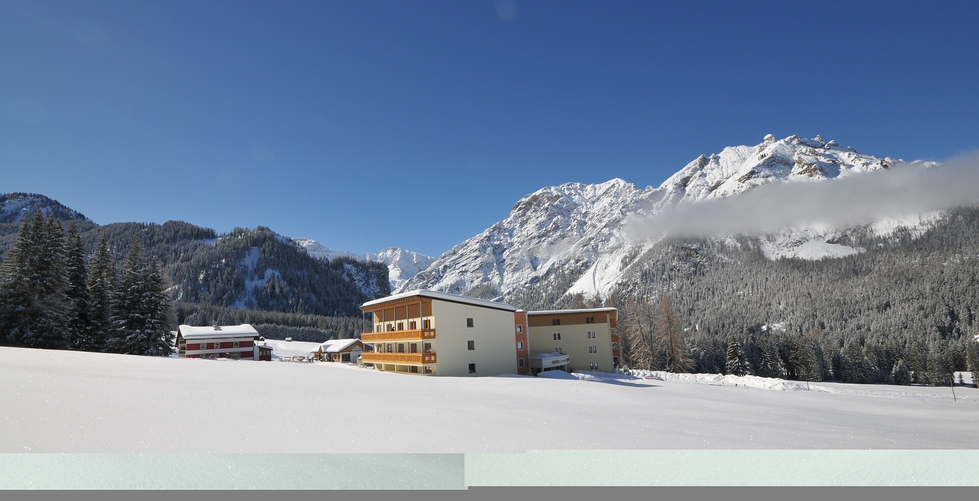 Asterbel Winter