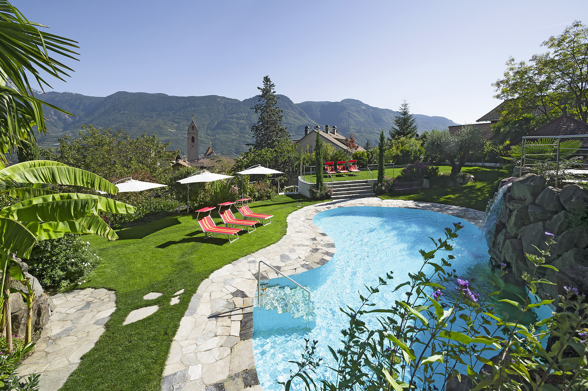 pool and garden