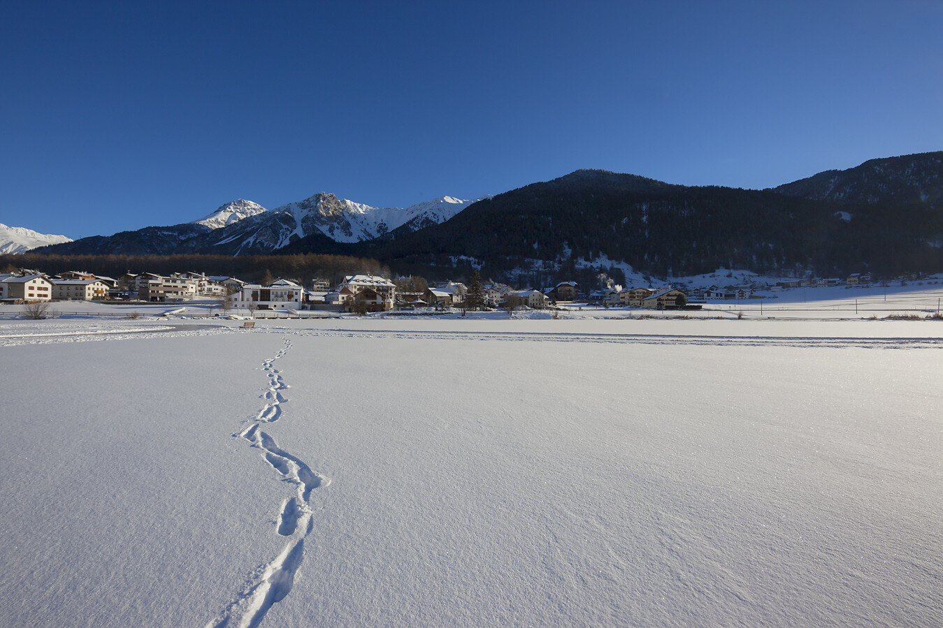 Winter impression