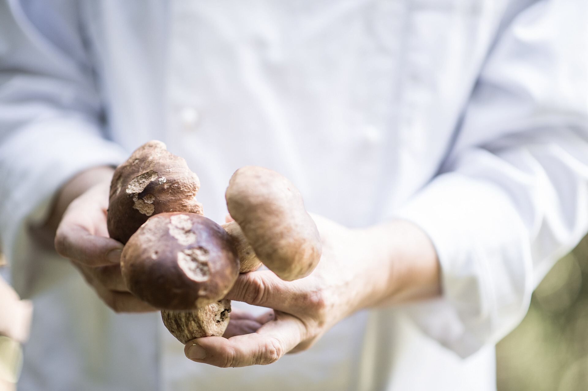 Slow Food