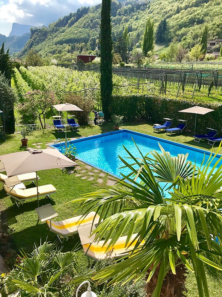 Garten Pool