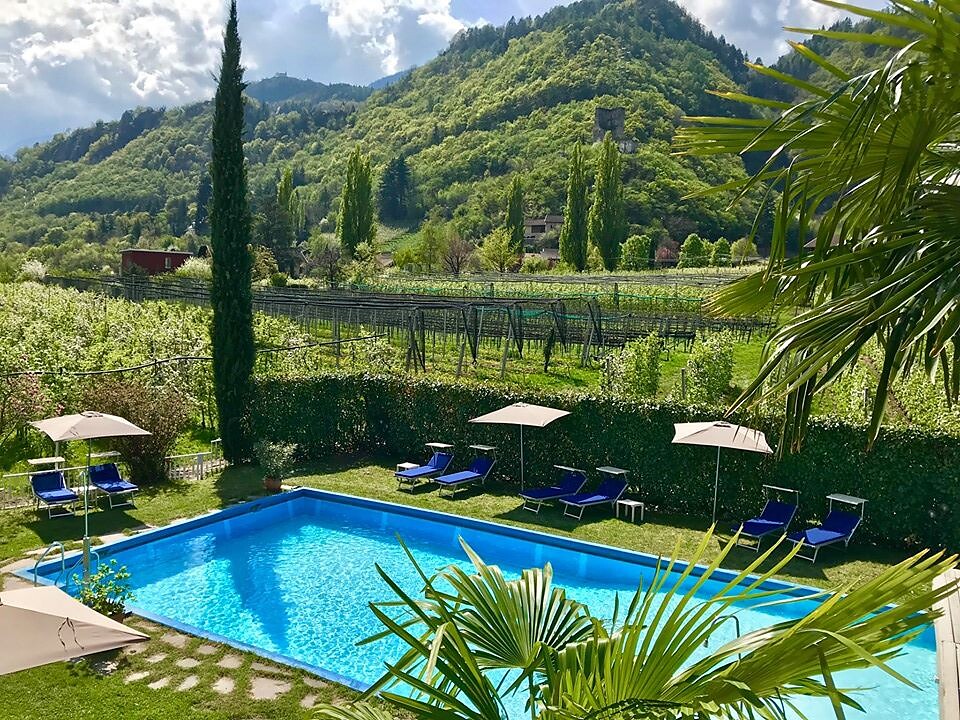 Garten Pool