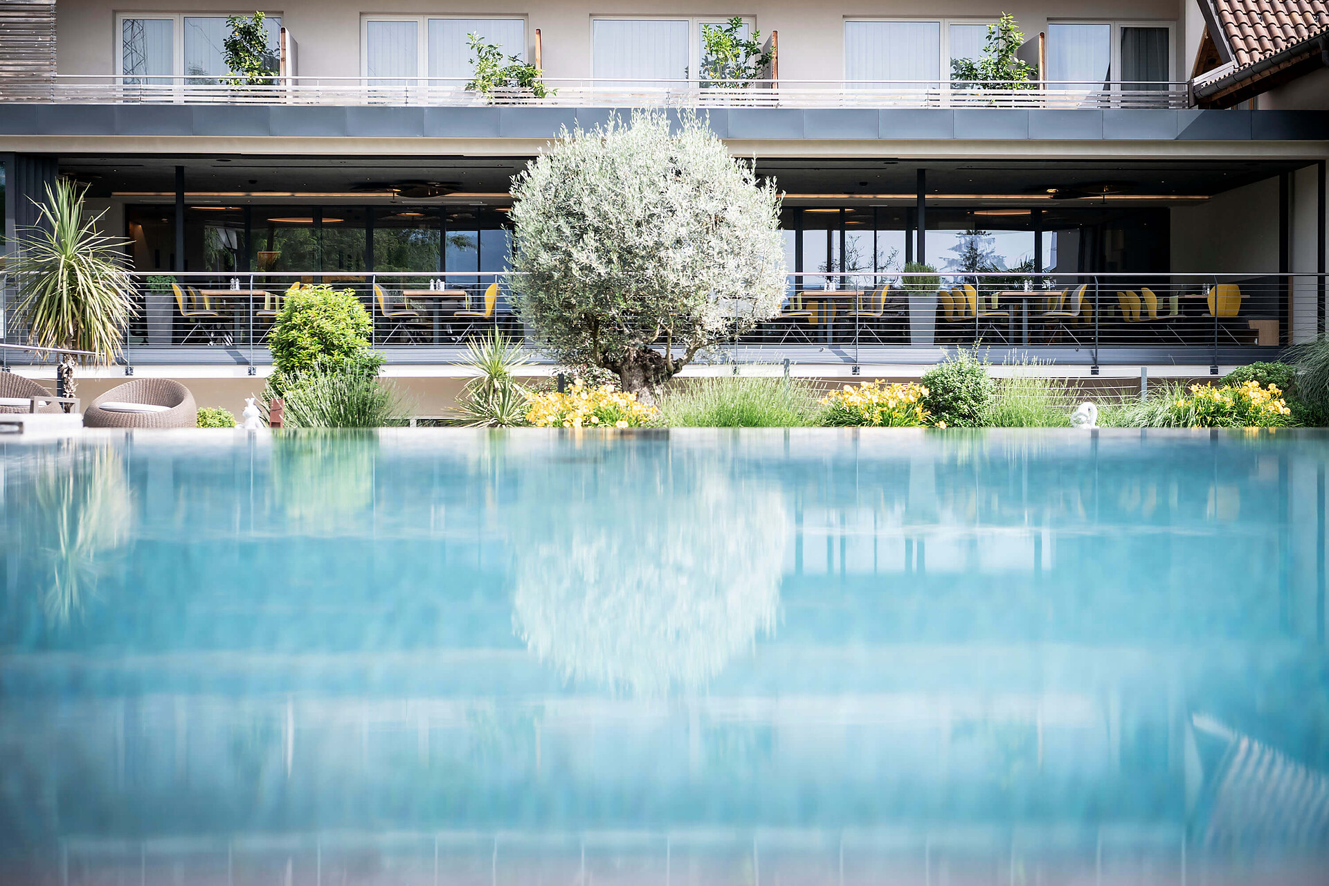 Infinity Pool Hotel Pfeiss