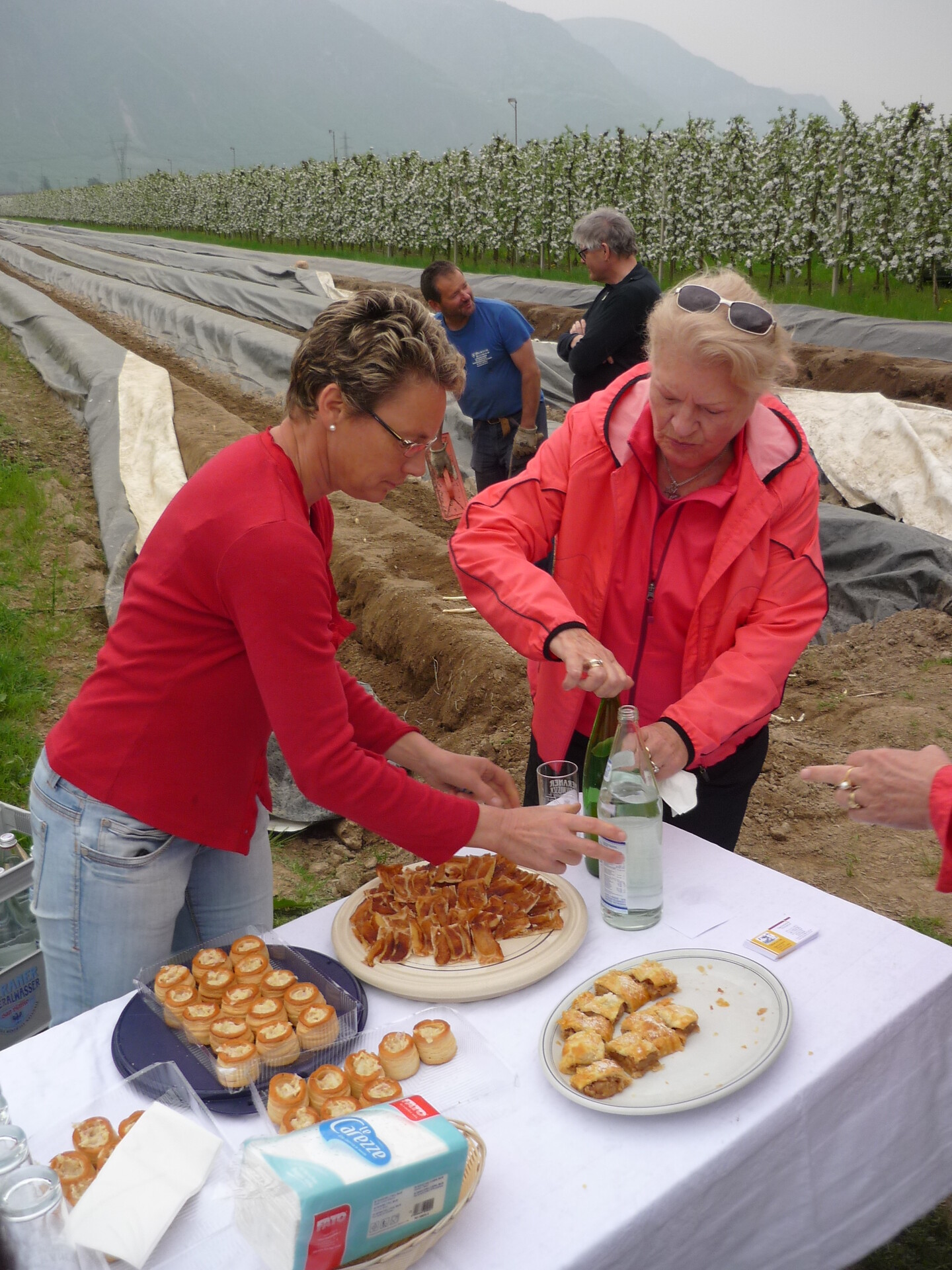 our asparagus meadow, an excursion with hospitality