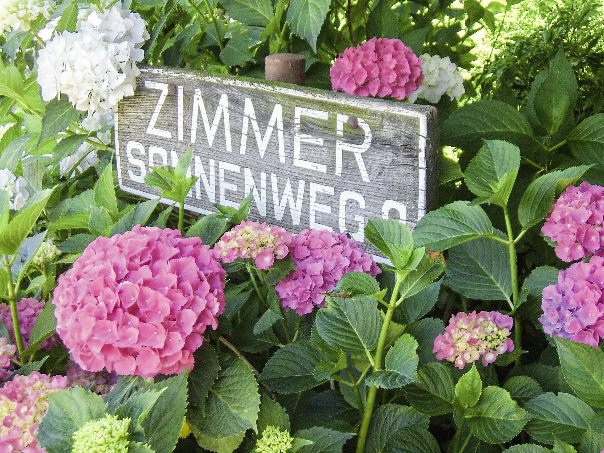 Willkommen im Sonnenweg 8