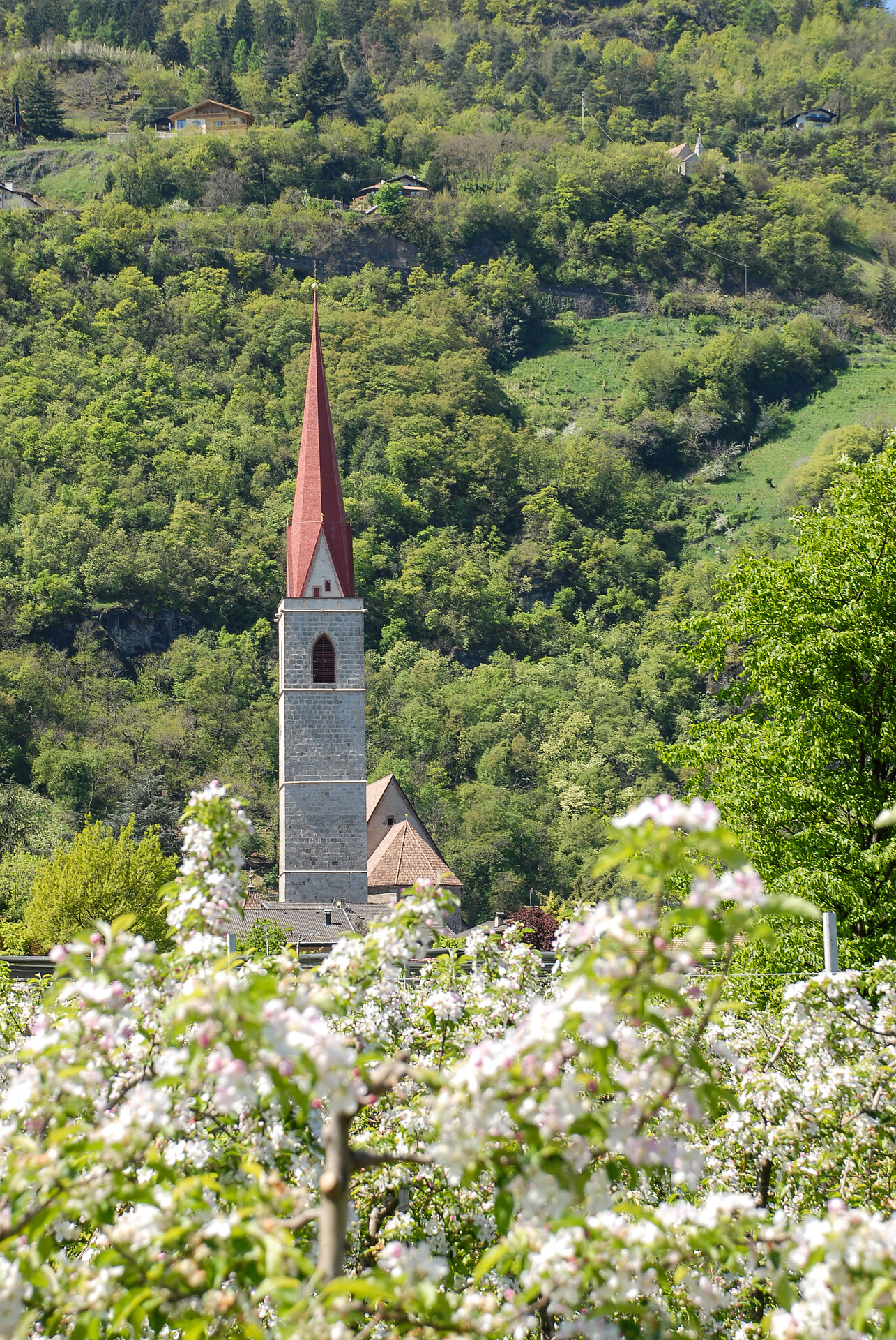 Niederlananer Pfarrkirche
