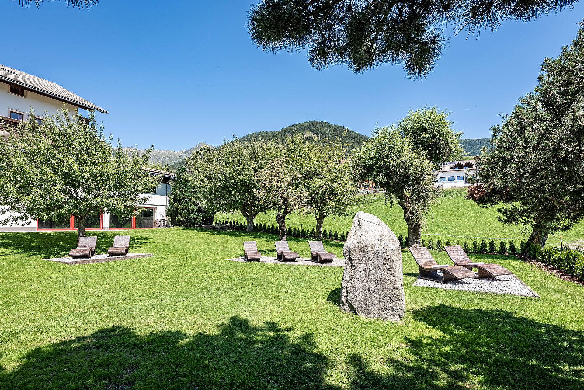 lawn for sunbathing