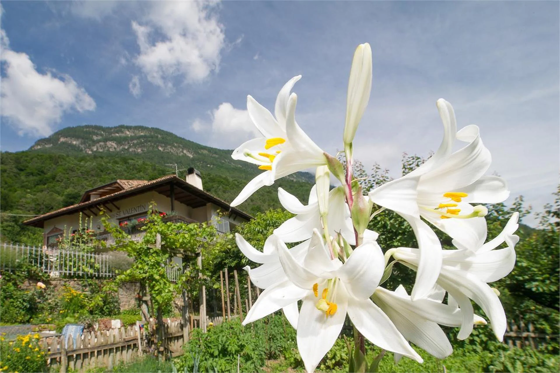 Haus St. Valentin Appiano sulla Strada del Vino 3 suedtirol.info