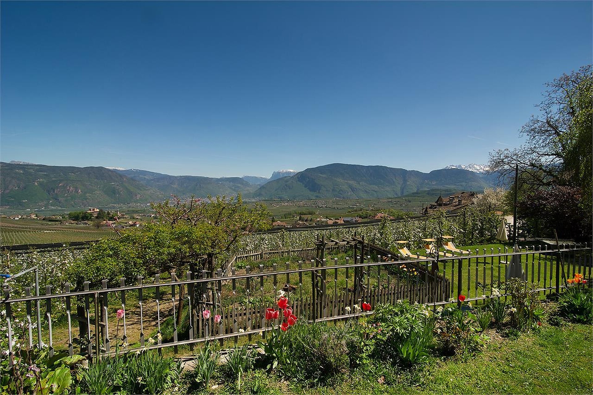 garden