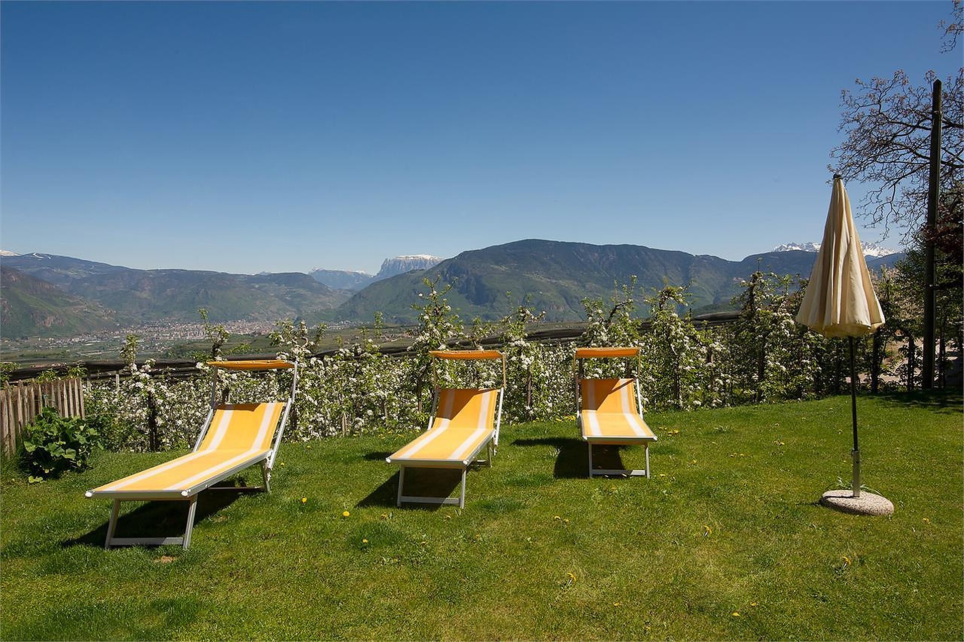 lawn for sunbathing