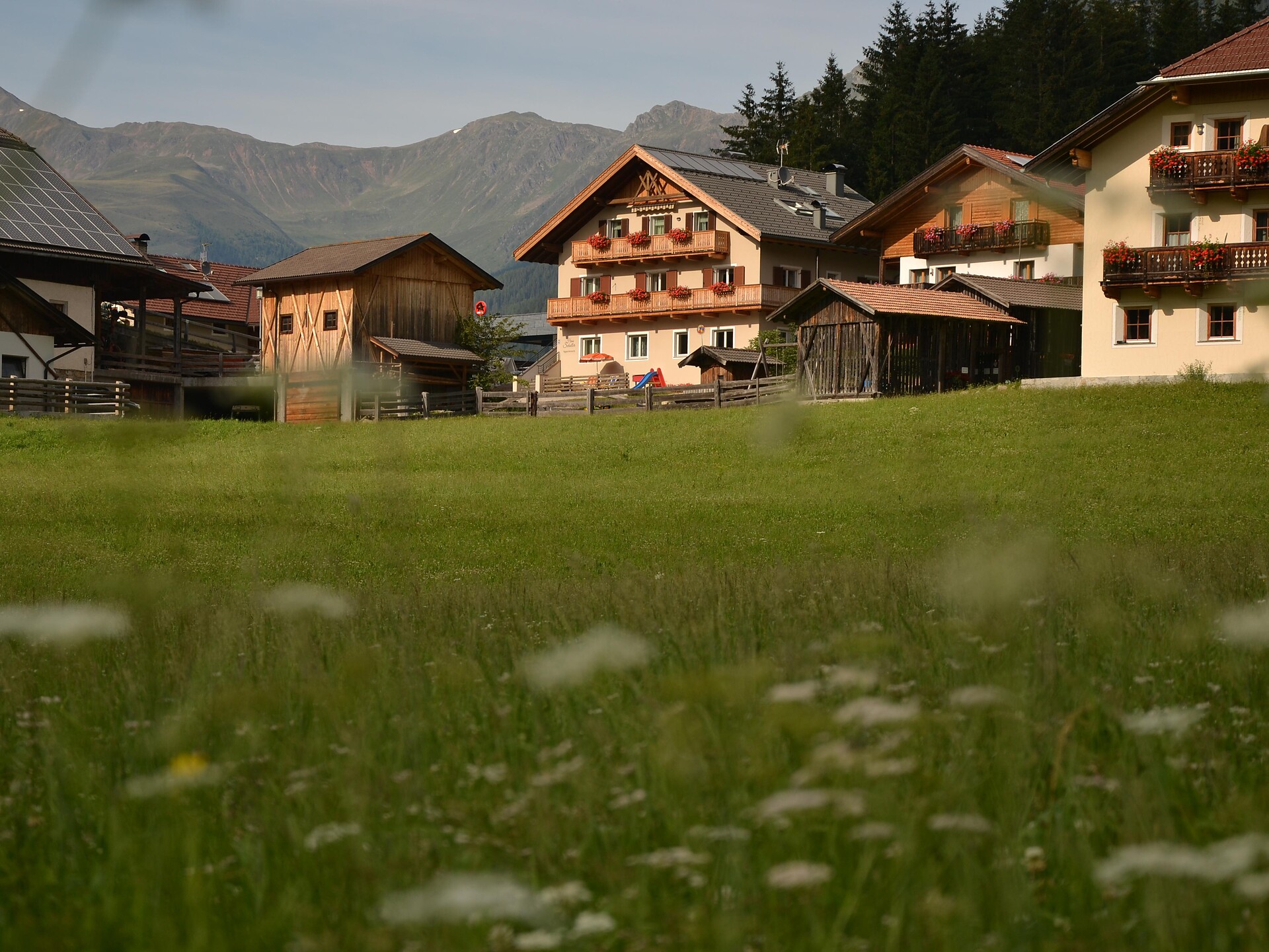 Haus Schaller