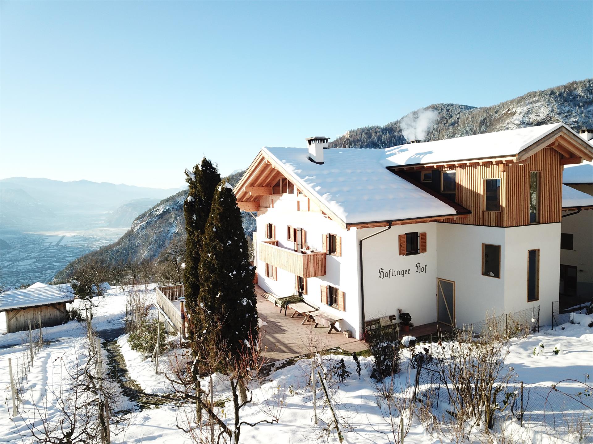 Haflinger Hof Jenesien 5 suedtirol.info